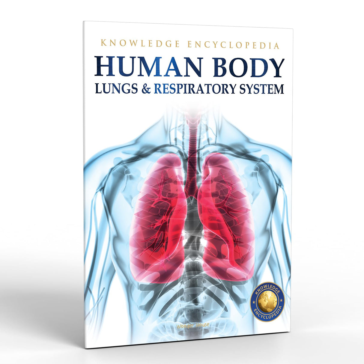 Human Body - Lungs And Respiratory System: Knowledge Encyclopedia For Children - Retail Maharaj