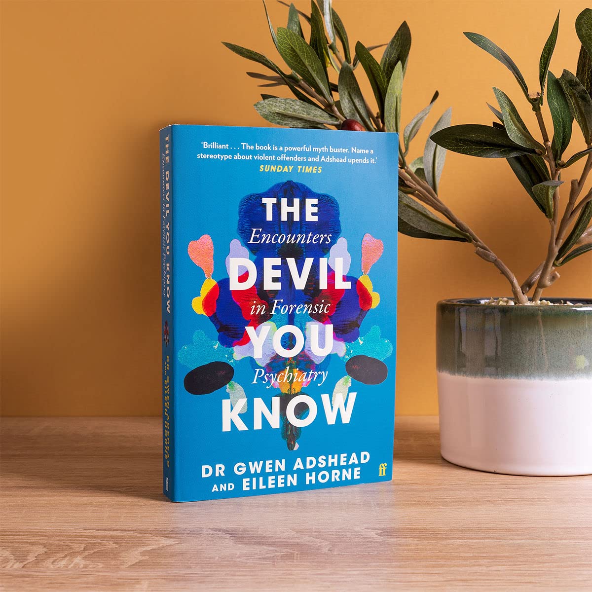 The Devil You Know: Encounters in Forensic Psychiatry - Retail Maharaj