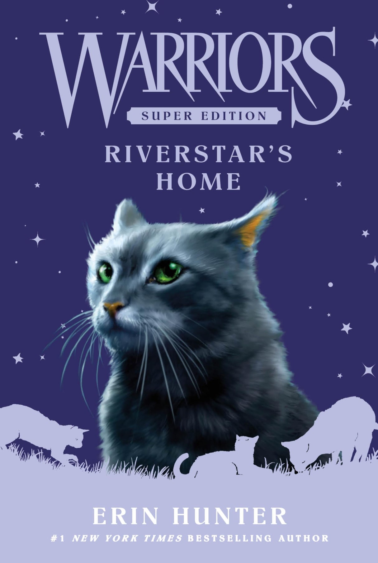 Warriors Super Edition: Riverstar'S Home - Retail Maharaj