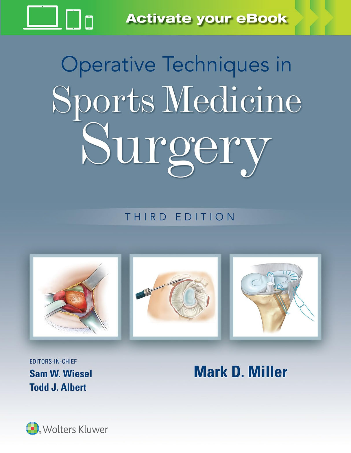 Operative Techniques in Sports Medicine Surgery - Retail Maharaj