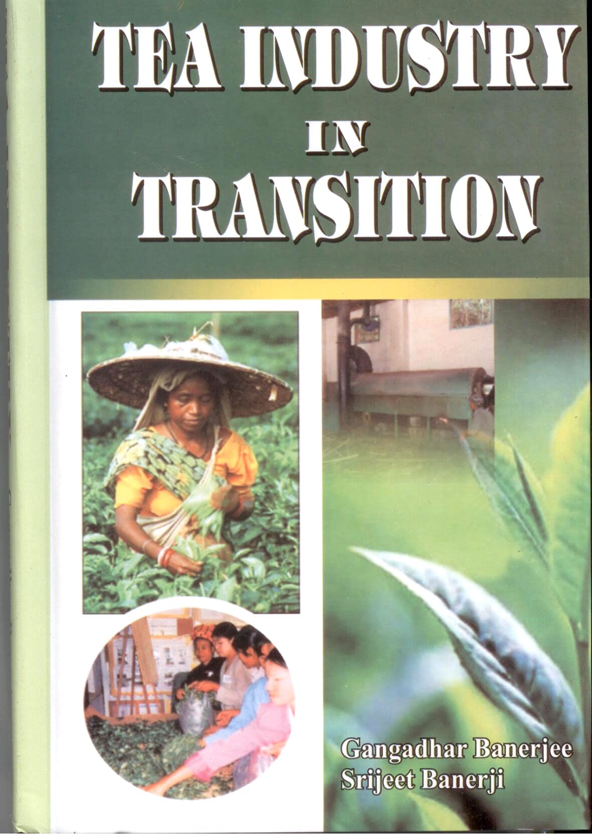 Tea Industry in Transition - Retail Maharaj