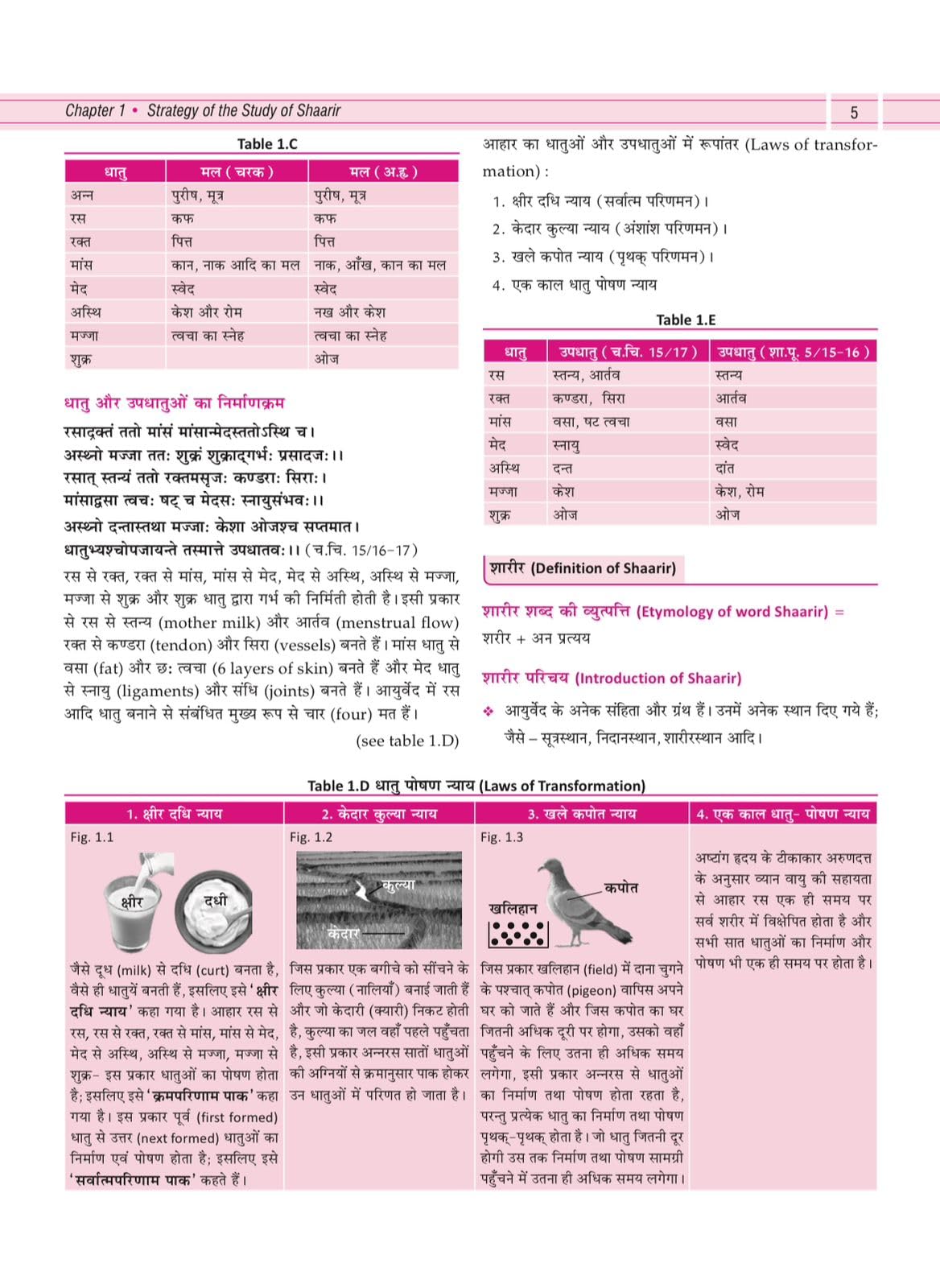 Illustrated Textbook of Rachna Sharir (Vol-1) (सचित्र रचना शारीर) Modern and Ayurveda anatomy with Clinical & Applied aspects based on new NCISM curriculum for BAMS 1st Professional - Retail Maharaj
