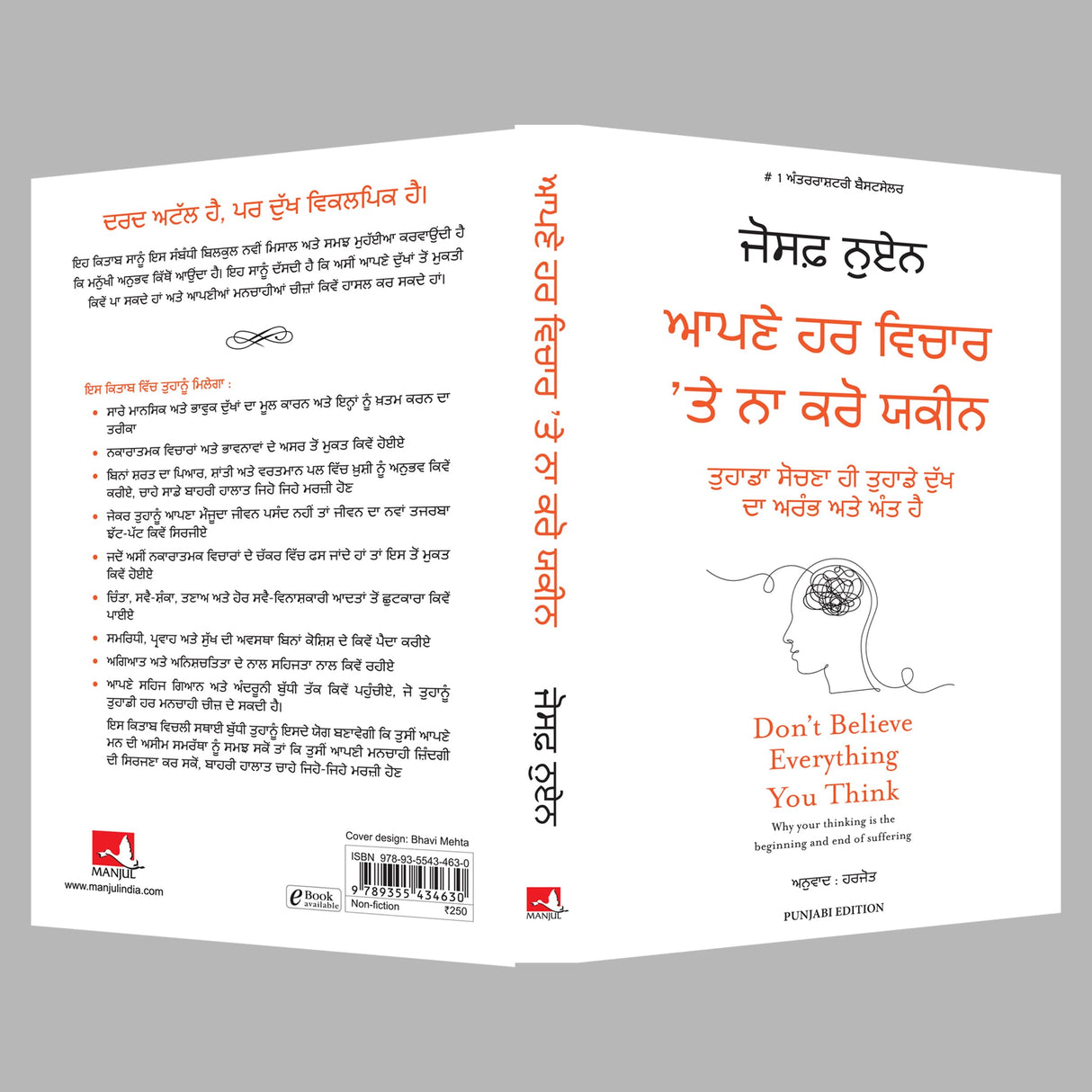 Don't Believe Everything You Think (Punjabi) - Retail Maharaj