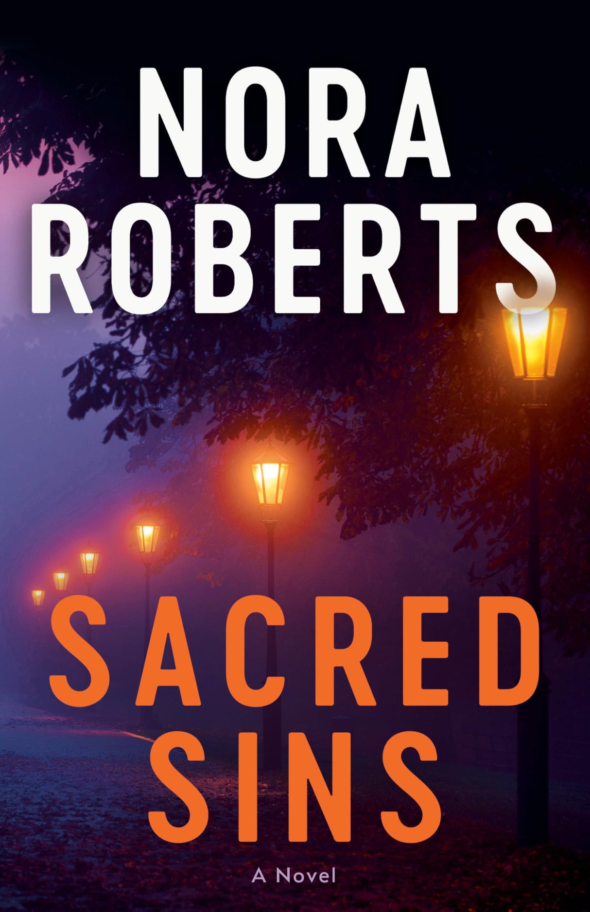 Sacred Sins: A Novel: 1 (D.C. Detectives) - Retail Maharaj