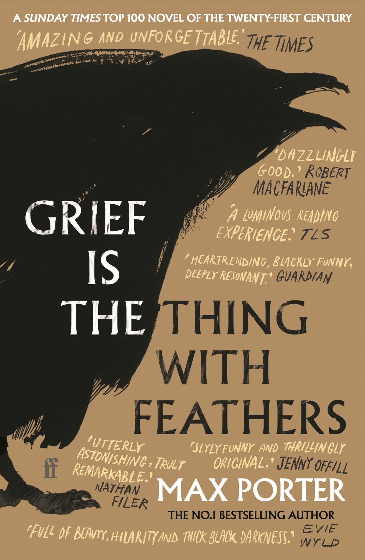 Grief Is the Thing with Feathers - Retail Maharaj