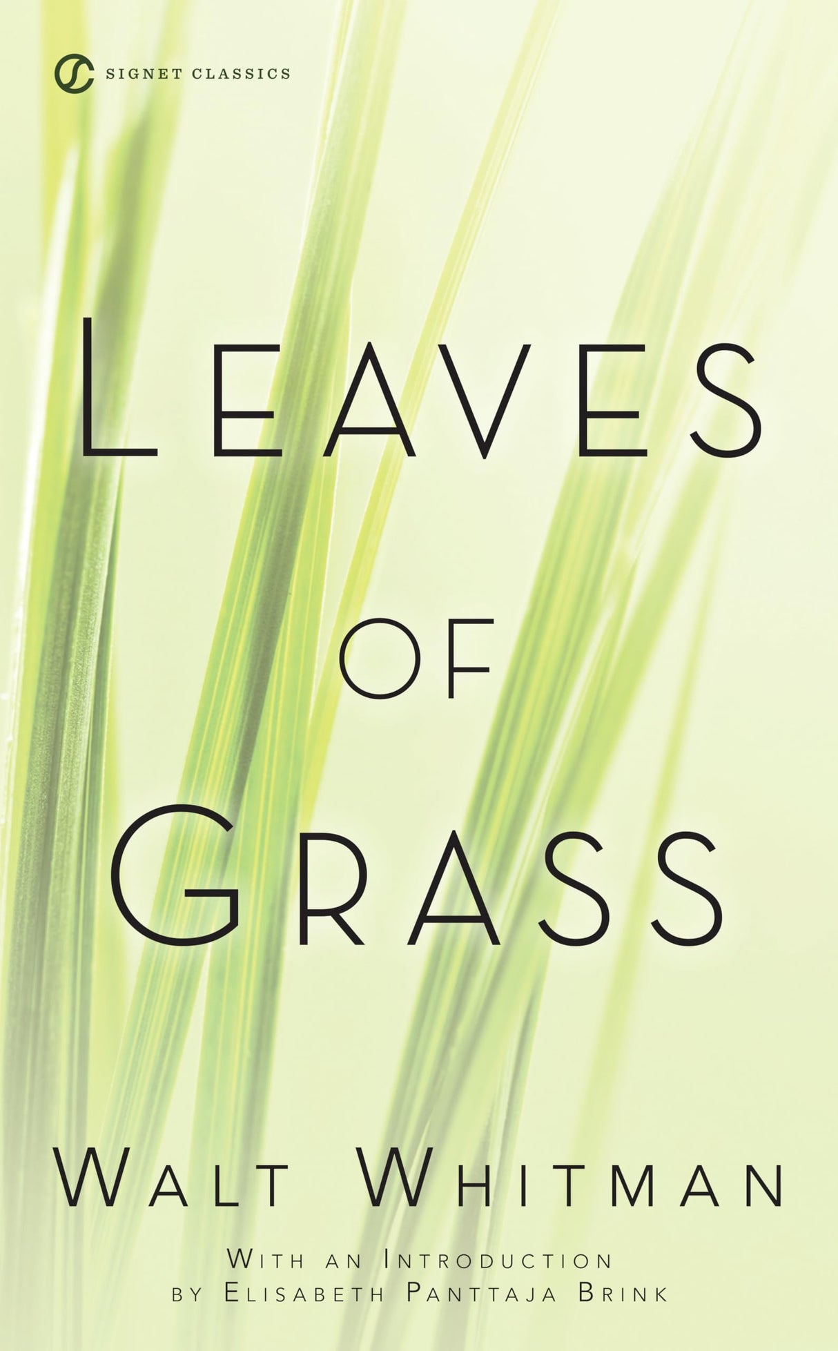 Leaves of Grass - Retail Maharaj