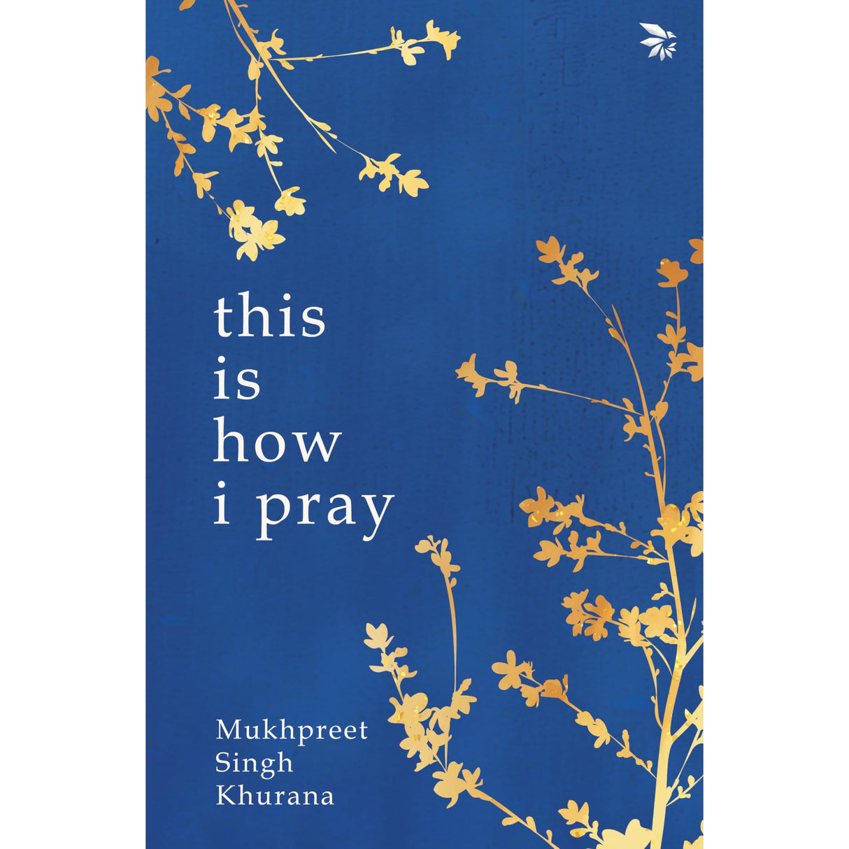 This is How I Pray - Retail Maharaj