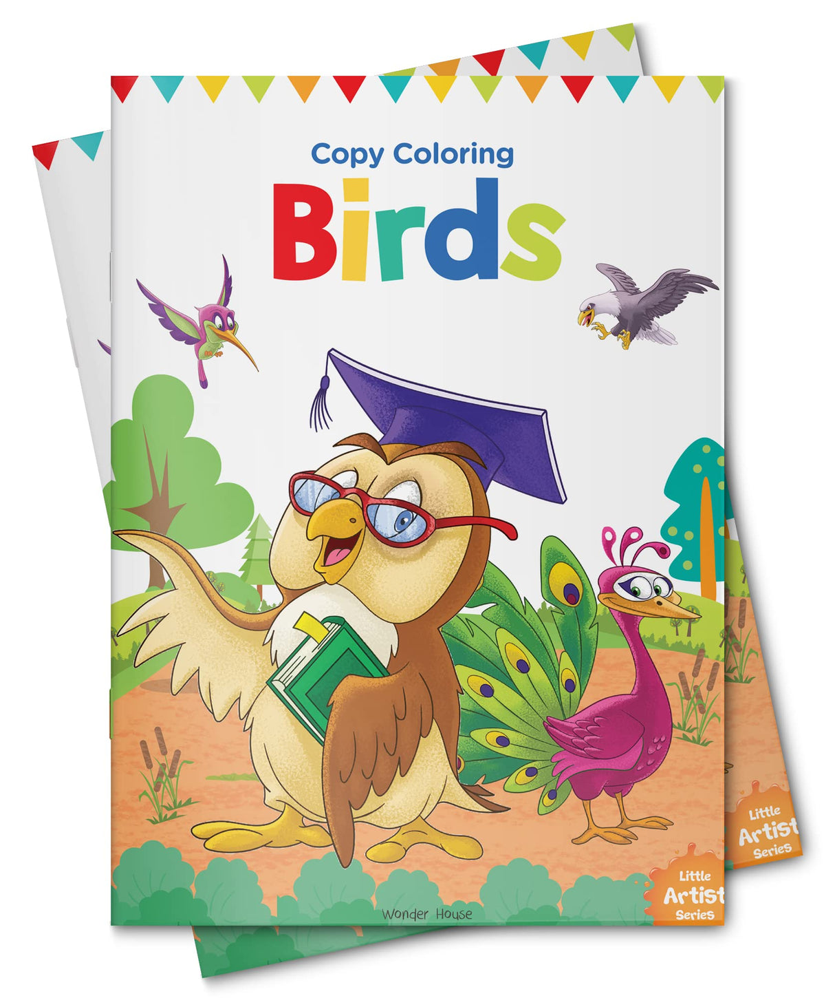 Little Artist Series Birds: Copy Colour Books - Retail Maharaj