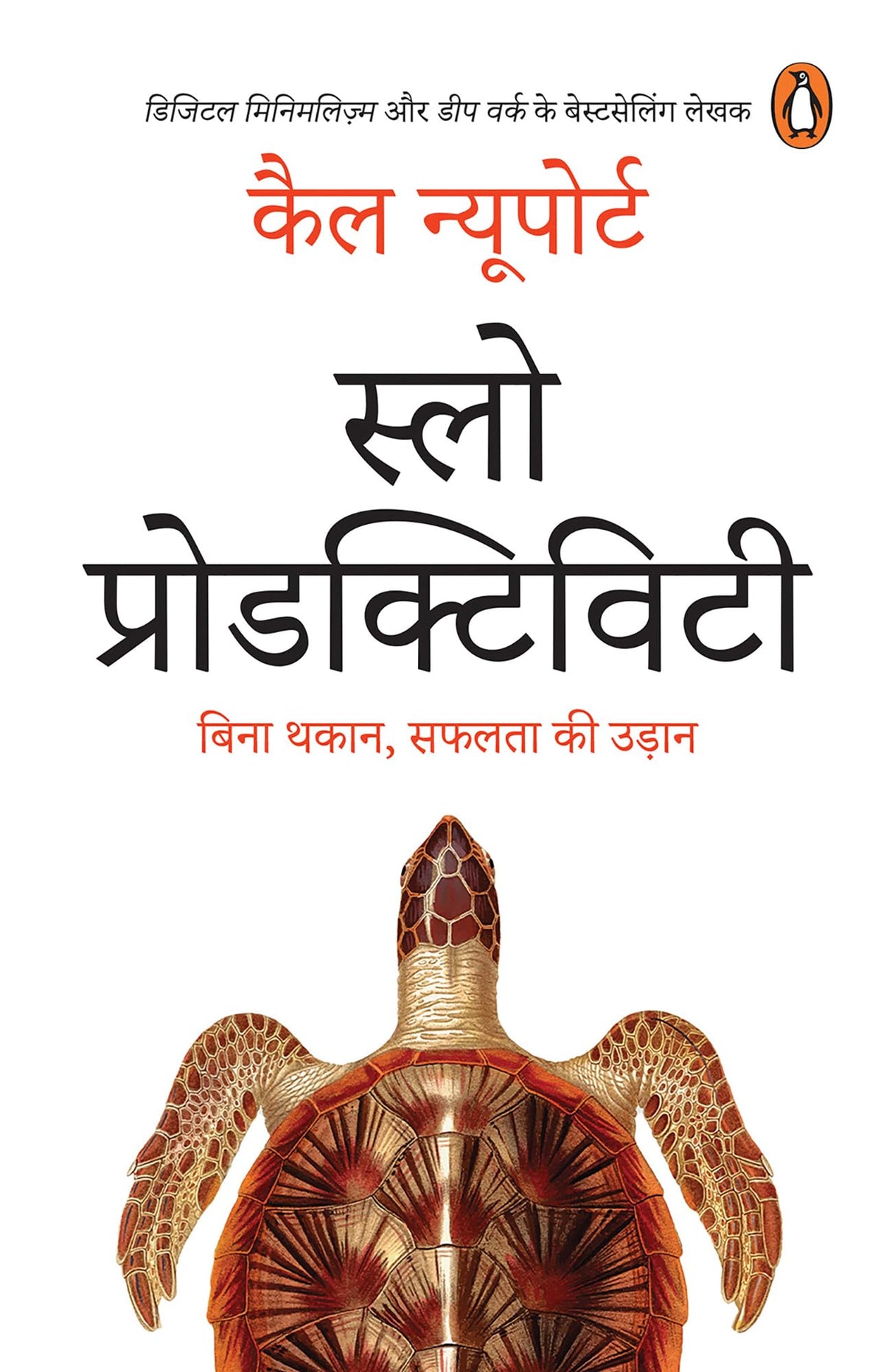 Slow Productivity (Hindi) / स्लो प्रोडक्टिविटि: Bina Thakan, Safalata Ki Udaan/बिना थकान, सफलता की उड़ान - Retail Maharaj