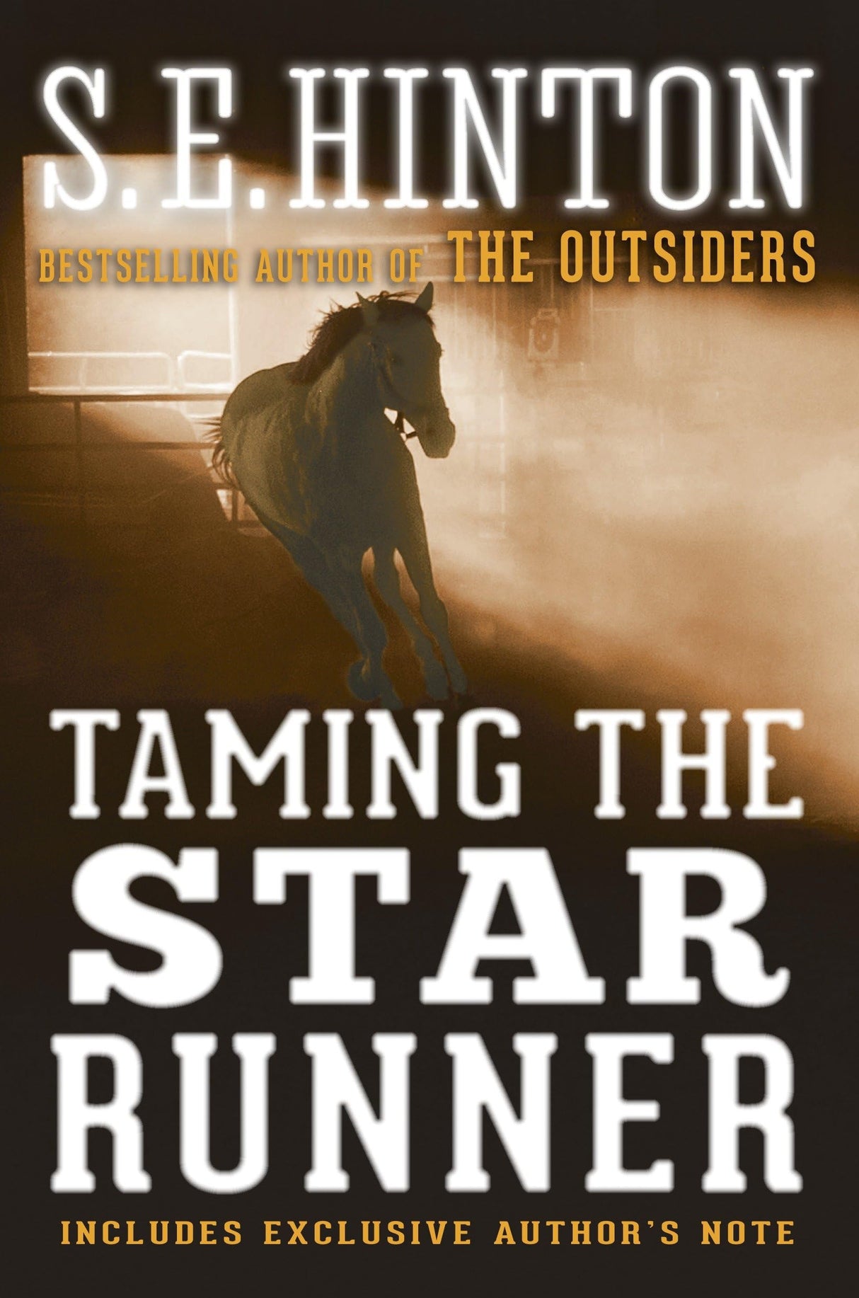 Taming the Star Runner - Retail Maharaj