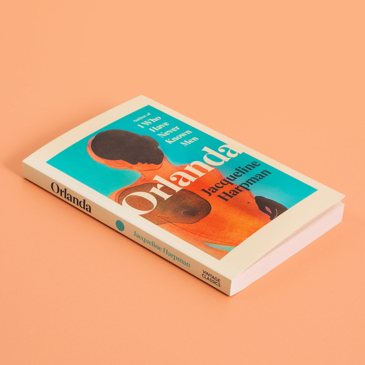 Orlanda: A bewitching fable from the author of TikTok sensation I Who Have Never Known Men - Retail Maharaj