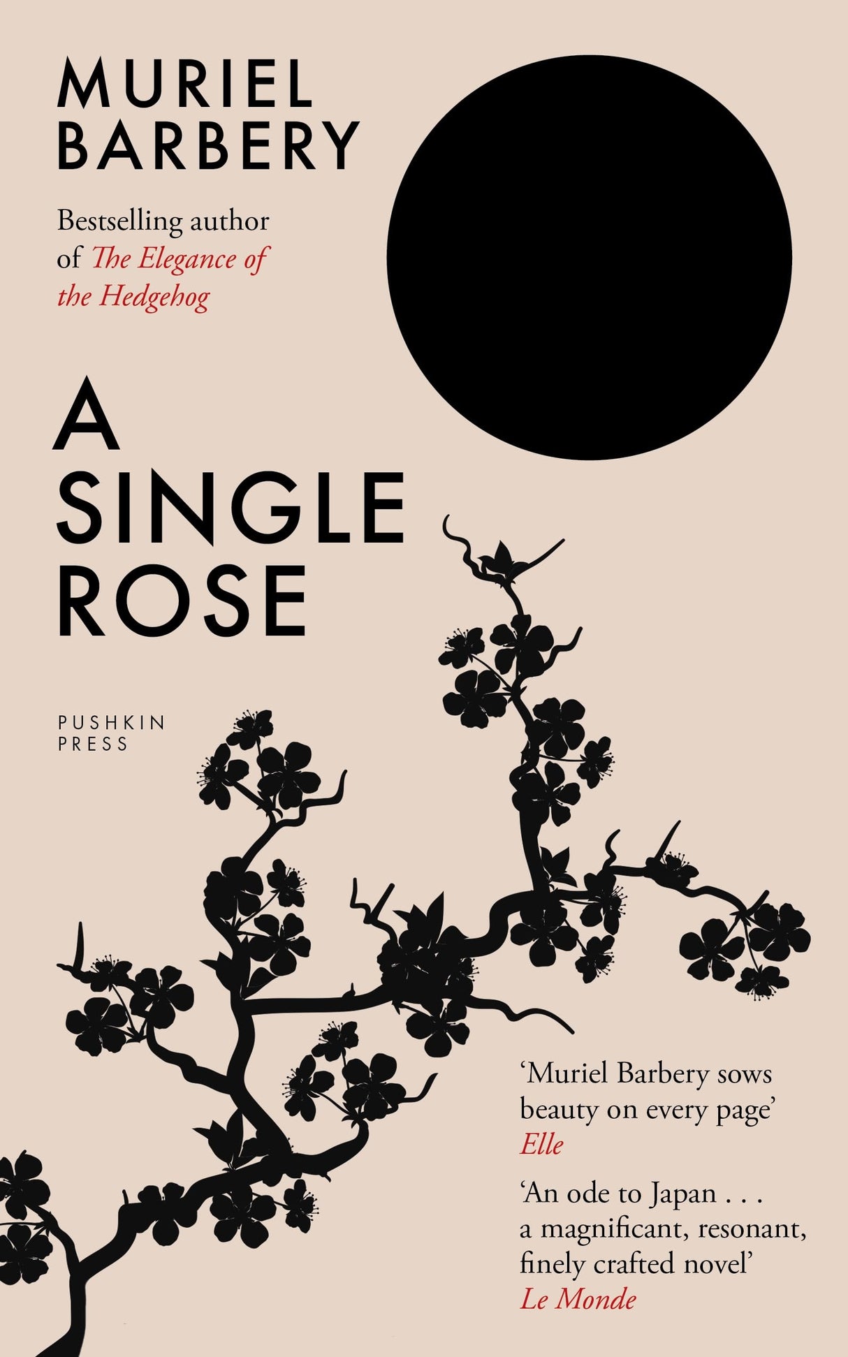 A Single Rose - Retail Maharaj