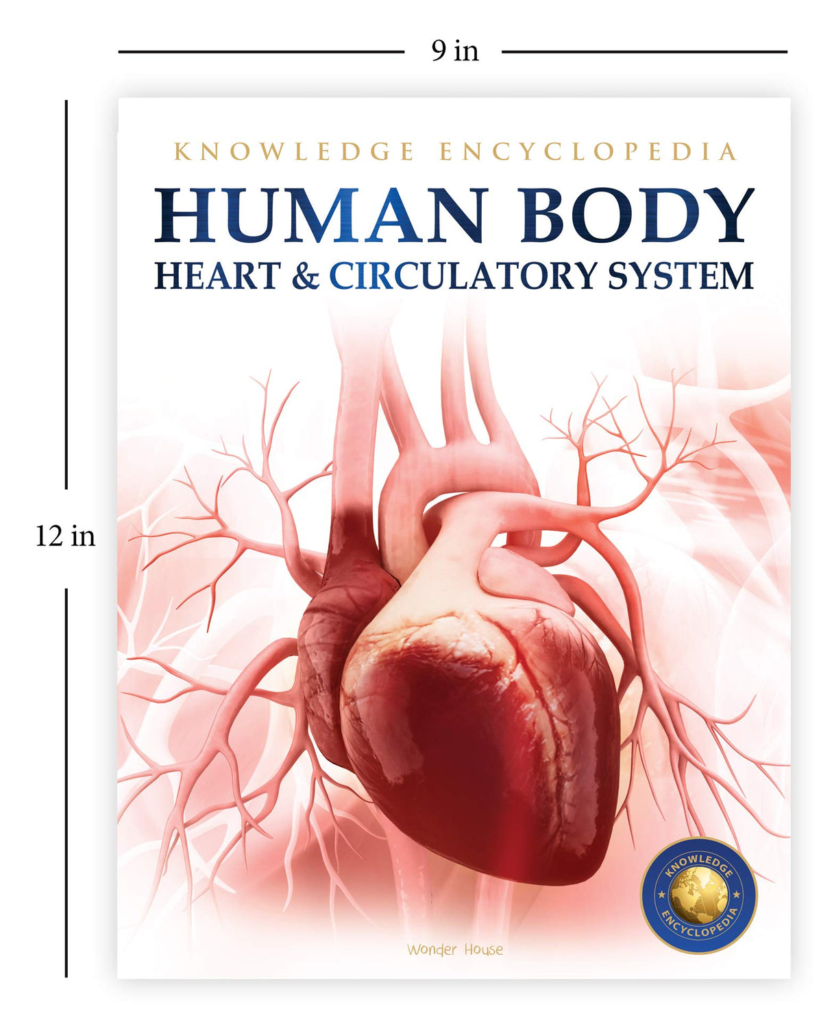 Human Body - Heart And Circulatory System: Knowledge Encyclopedia For Children - Retail Maharaj