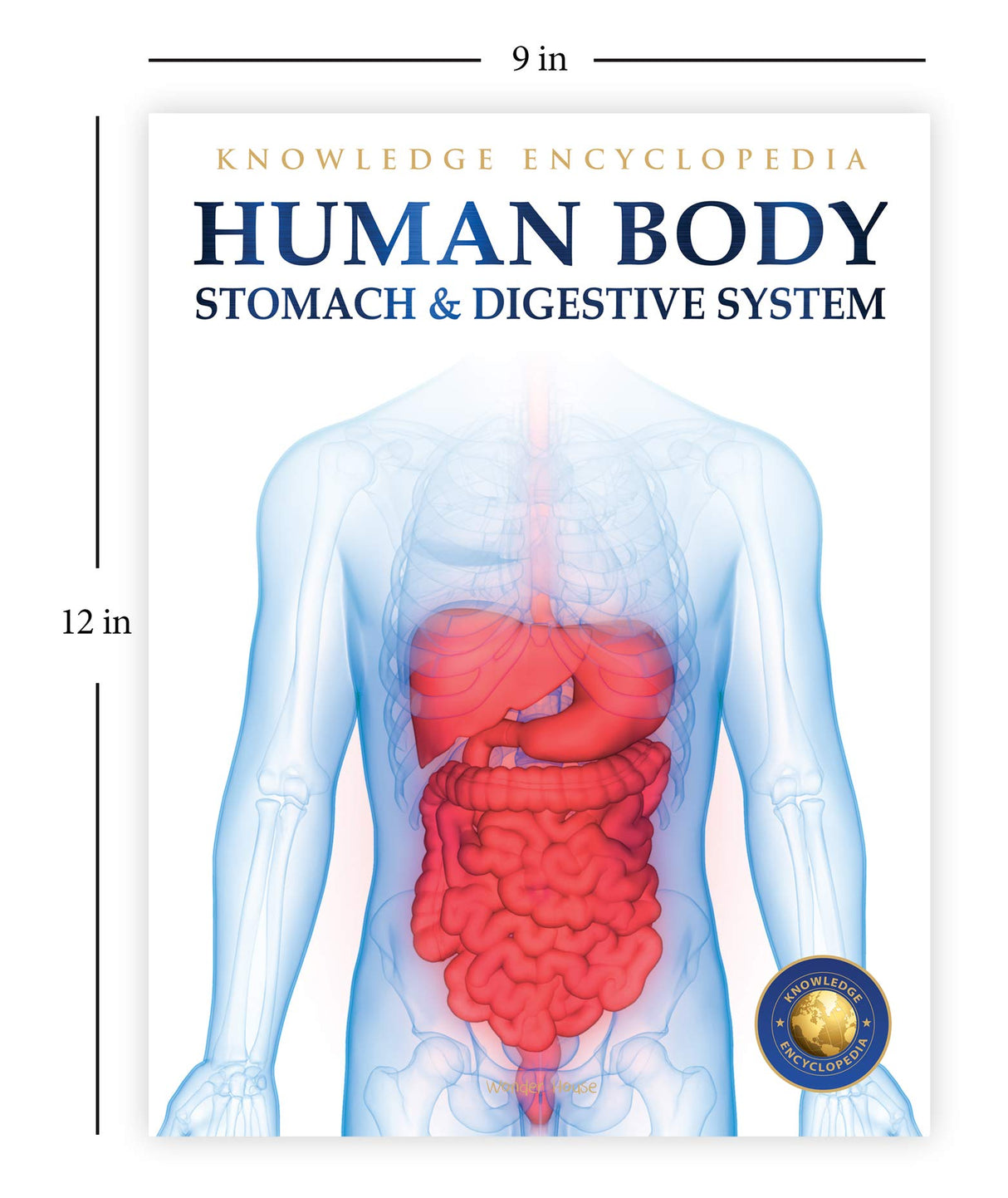 Human Body - Stomach And Digestive System: Knowledge Encyclopedia For Children - Retail Maharaj