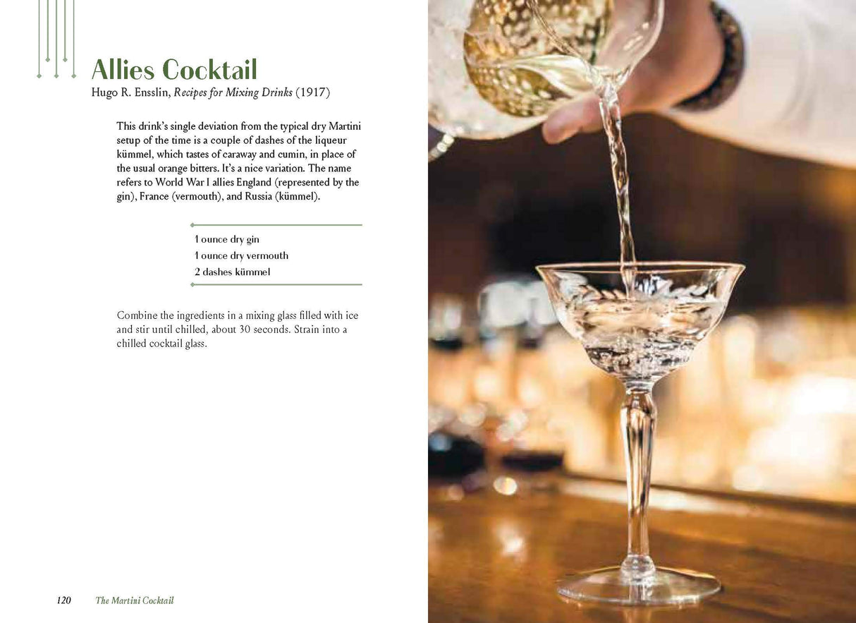 The Martini Cocktail - Retail Maharaj