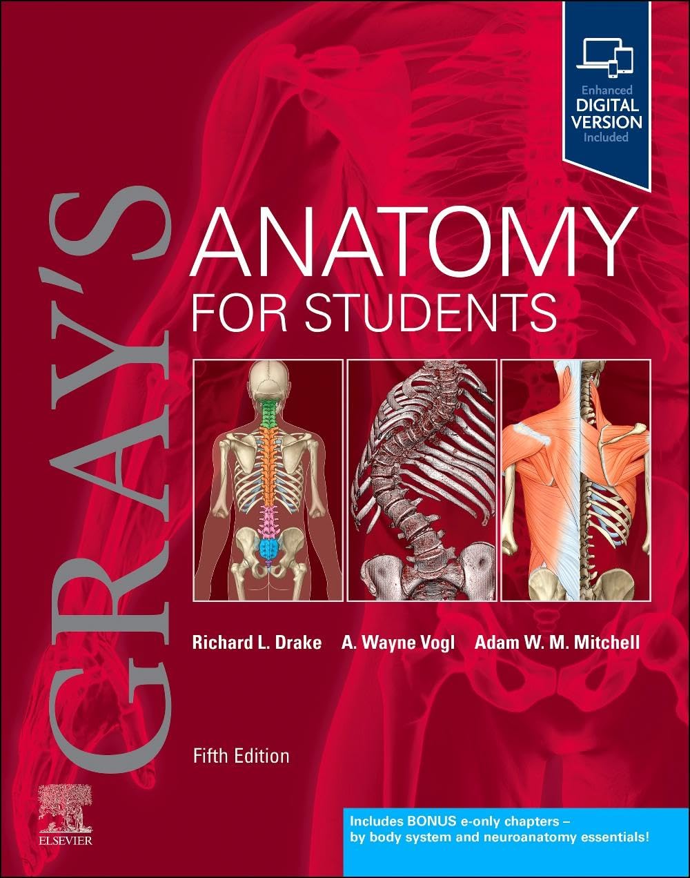 GRAYS ANATOMY FOR STUDENTS WITH ACCESS CODE 5ED (PB 2024) - Retail Maharaj