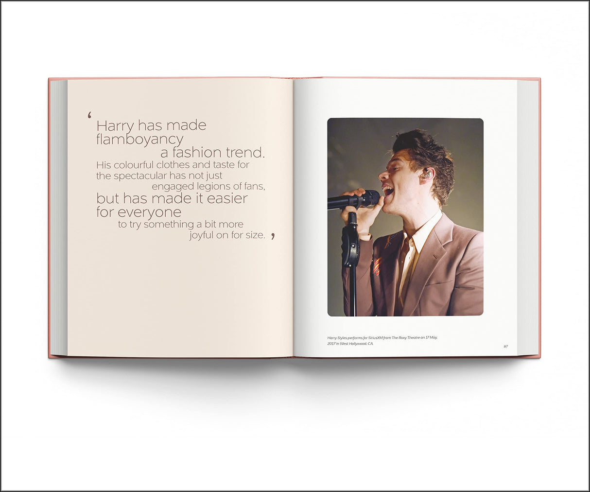 Harry Styles: and the clothes he wears - Retail Maharaj