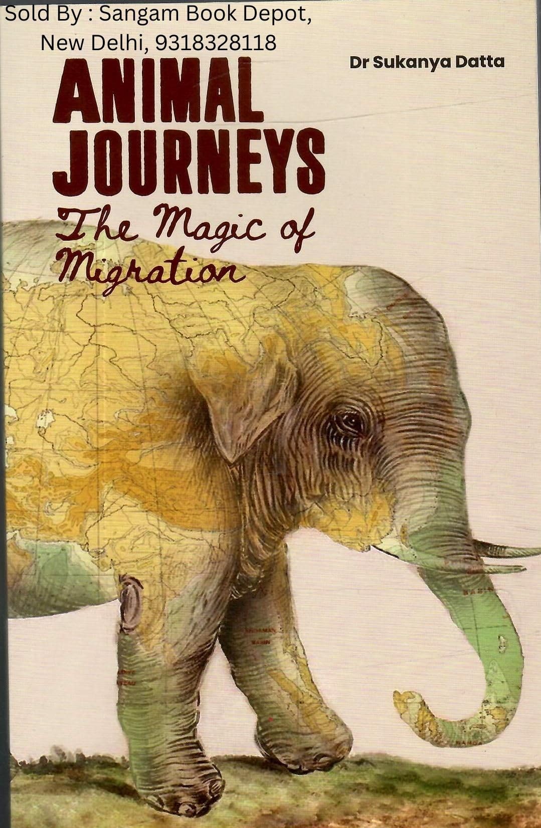Animal Journeys - The Magic Of Migration