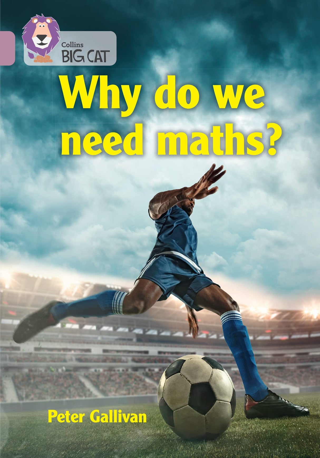 Why do we need maths?: Band 18/Pearl (Collins Big Cat) - Retail Maharaj