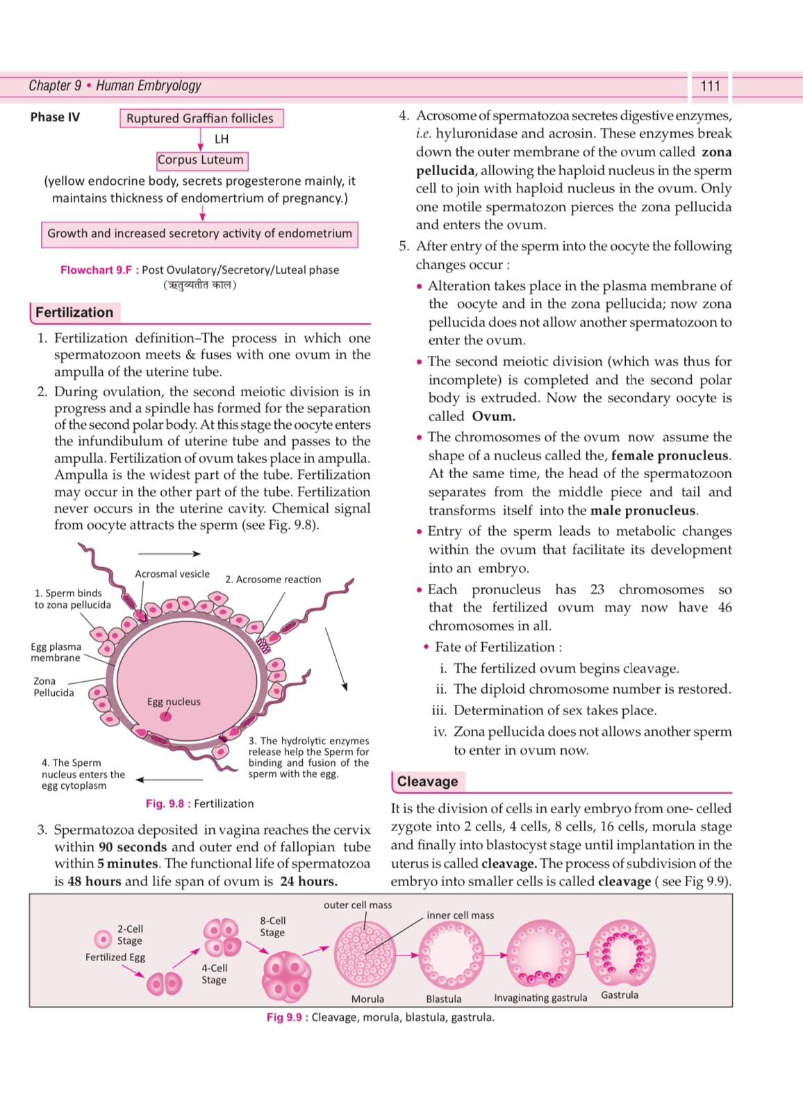 Illustrated Textbook of Rachna Sharir (Vol-1) (सचित्र रचना शारीर) Modern and Ayurveda anatomy with Clinical & Applied aspects based on new NCISM curriculum for BAMS 1st Professional - Retail Maharaj