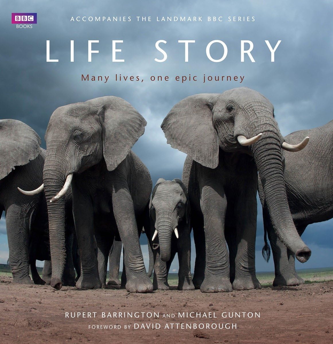 Life Story: Many Lives, One Epic Journey - Retail Maharaj