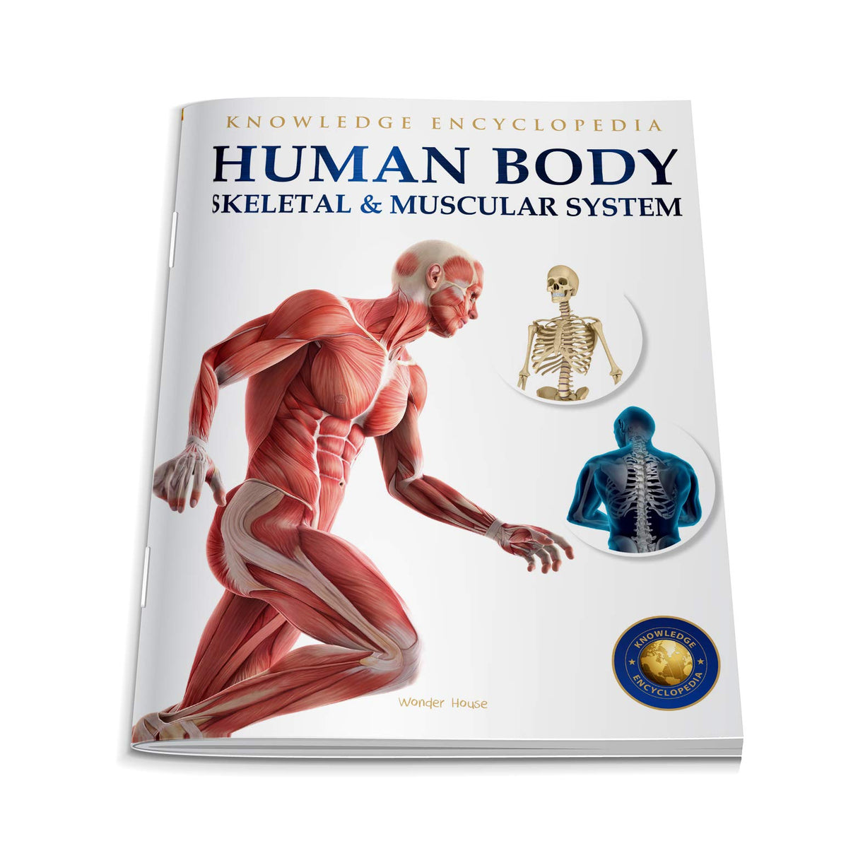 Human Body - Skeletal And Muscular System: Knowledge Encyclopedia For Children - Retail Maharaj