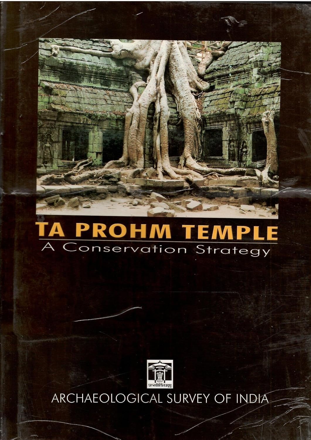 Ta Prohm Temple - A Conservation Strategy