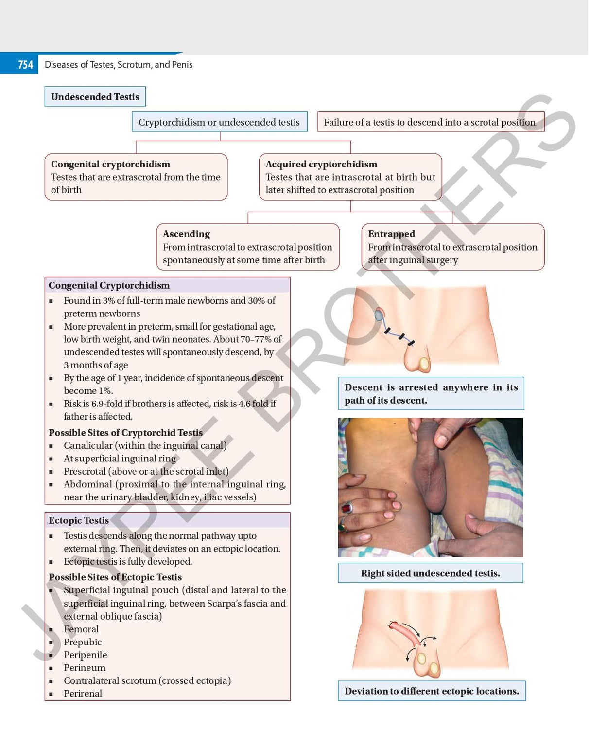 ILLUSTRATED SURGERY A BASIC ROAD MAP FOR THE POSTGRADUATES - Retail Maharaj