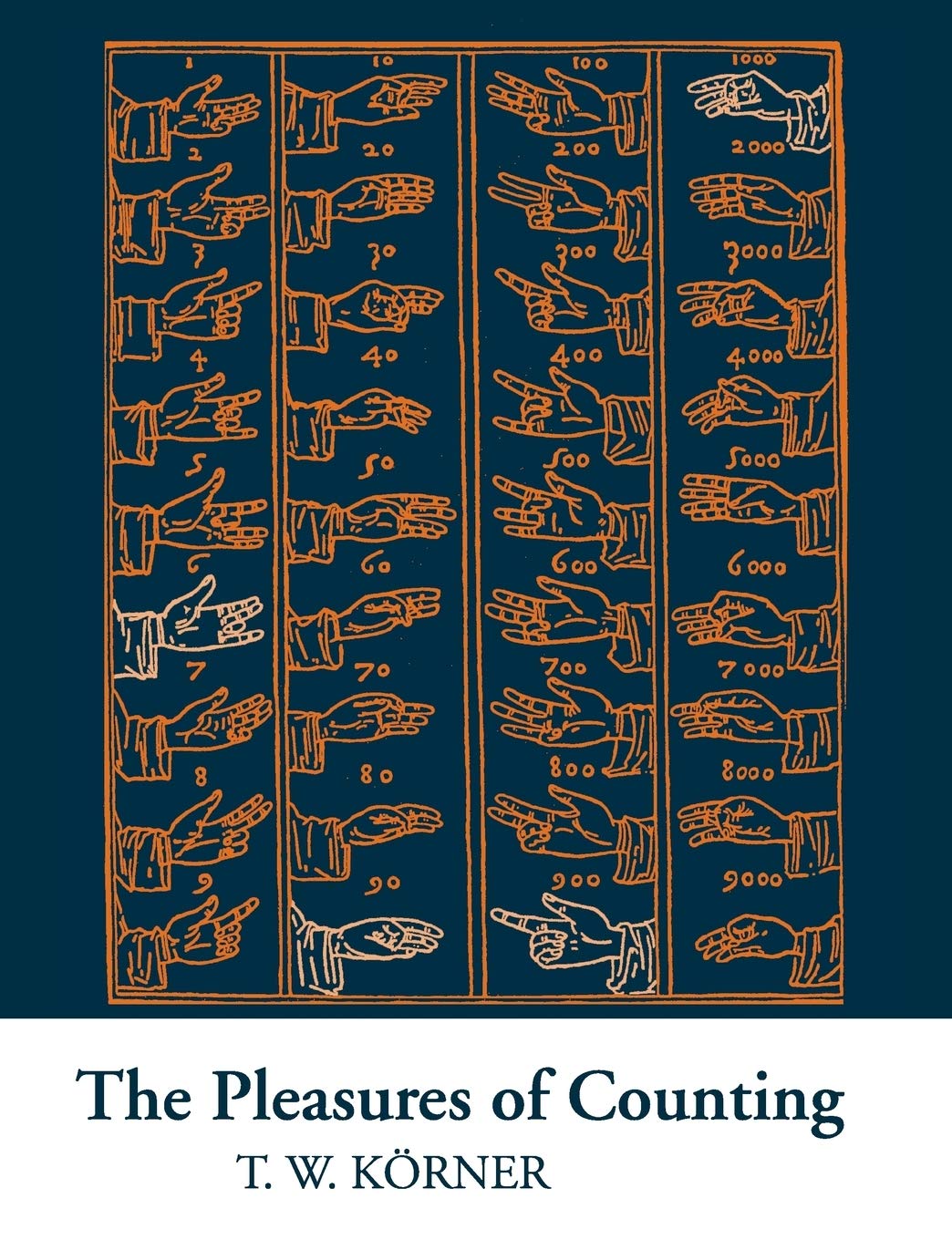 Pleasures of Counting: Revised student edition - Retail Maharaj