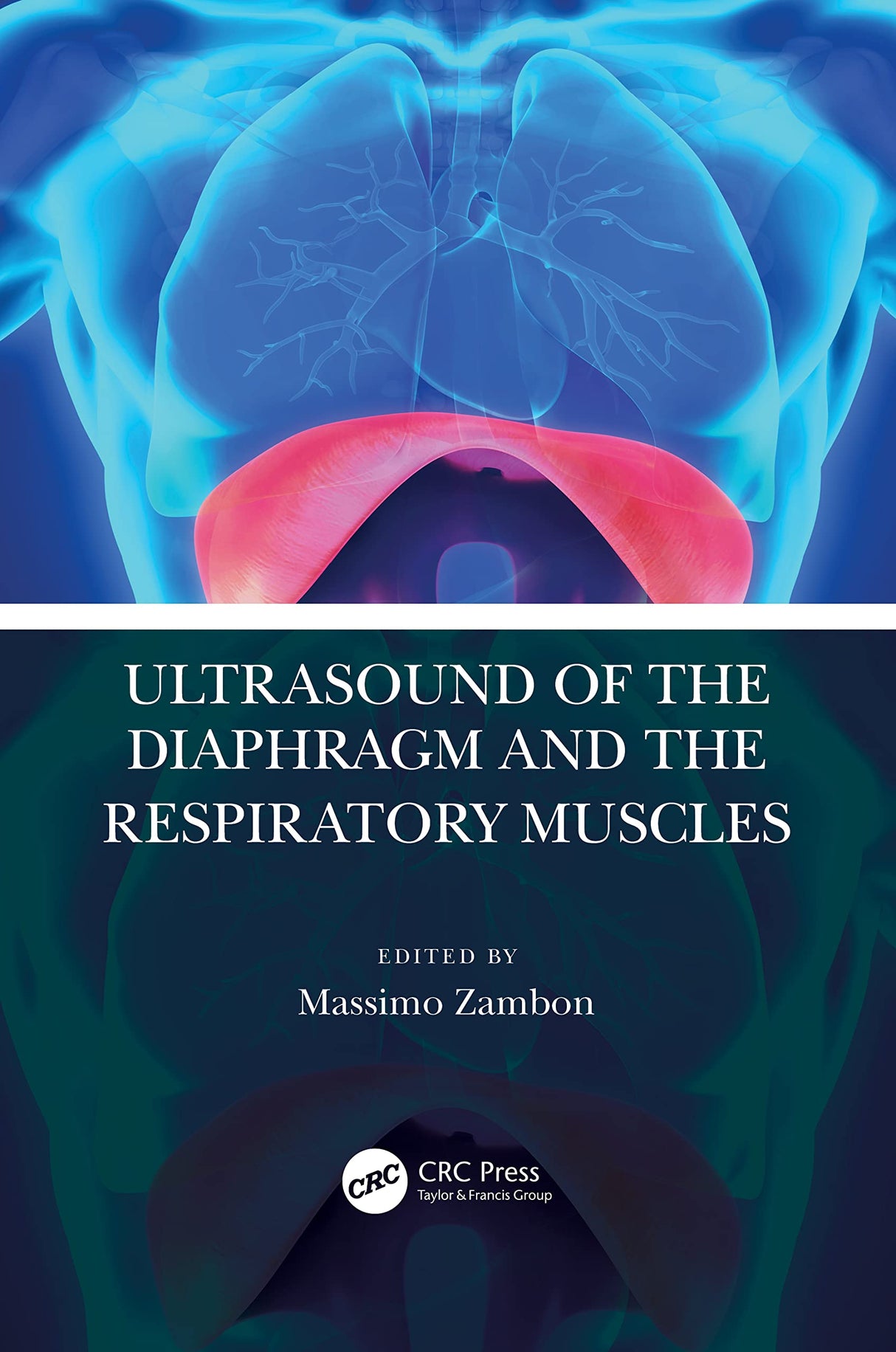 ULTRASOUND OF THE DIAPHRAGM AND THE RESPIRATORY MUSCLES (PB 2022) - Retail Maharaj