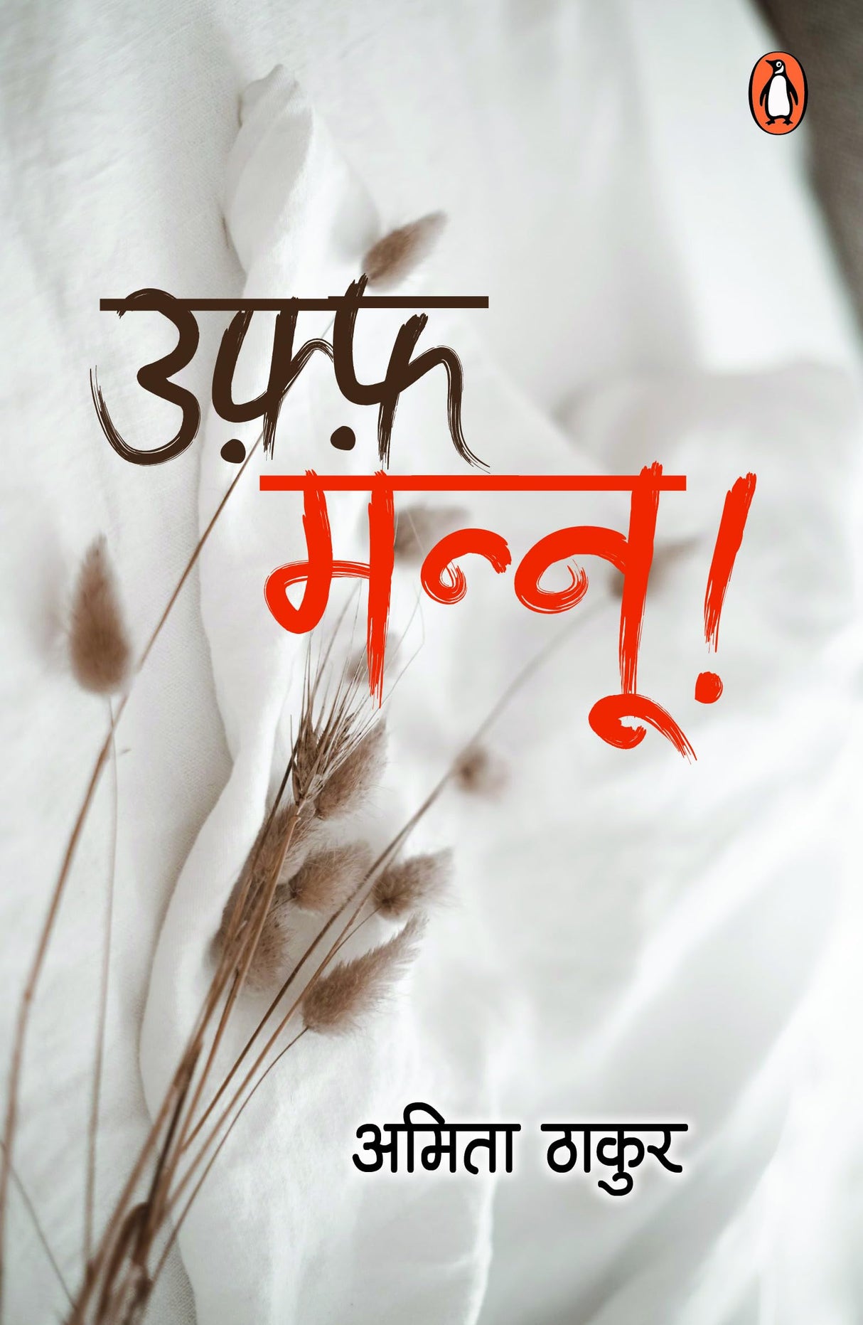 Uff Mannoo!/उफ़्फ़ मन्नू! - Retail Maharaj