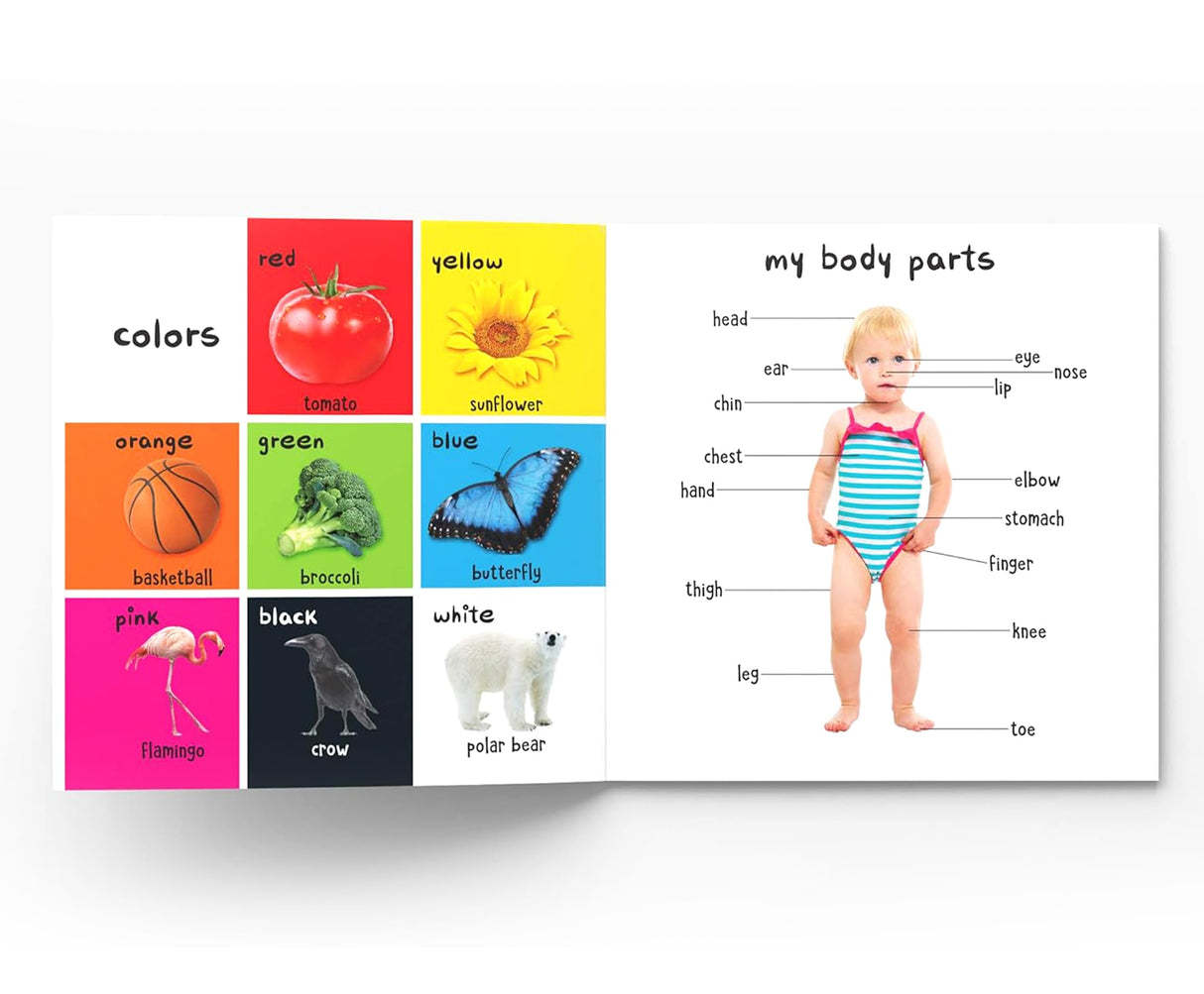 My First 100 Words : Early Learning Books for Children - Retail Maharaj