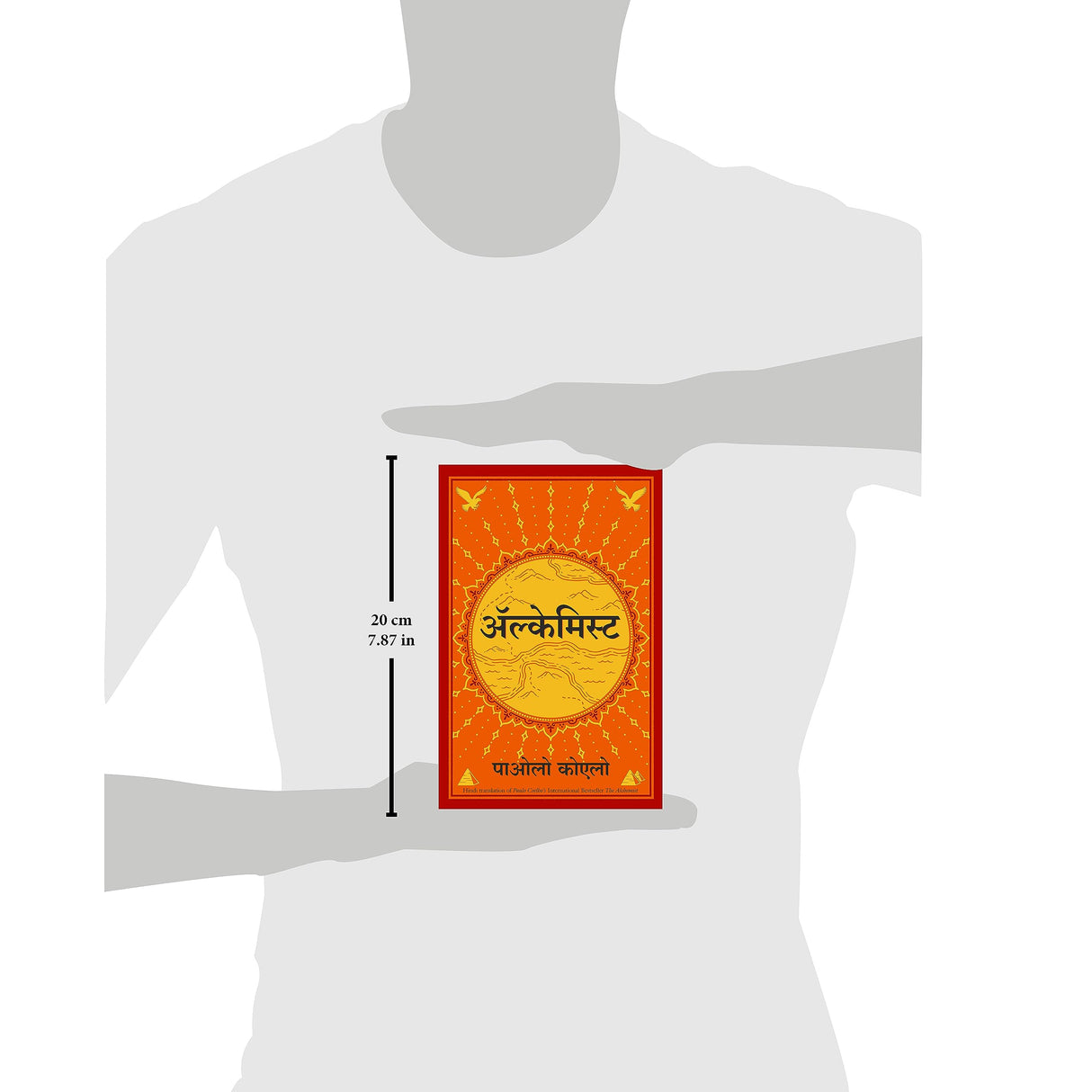 Alchemist (Hindi) - Retail Maharaj