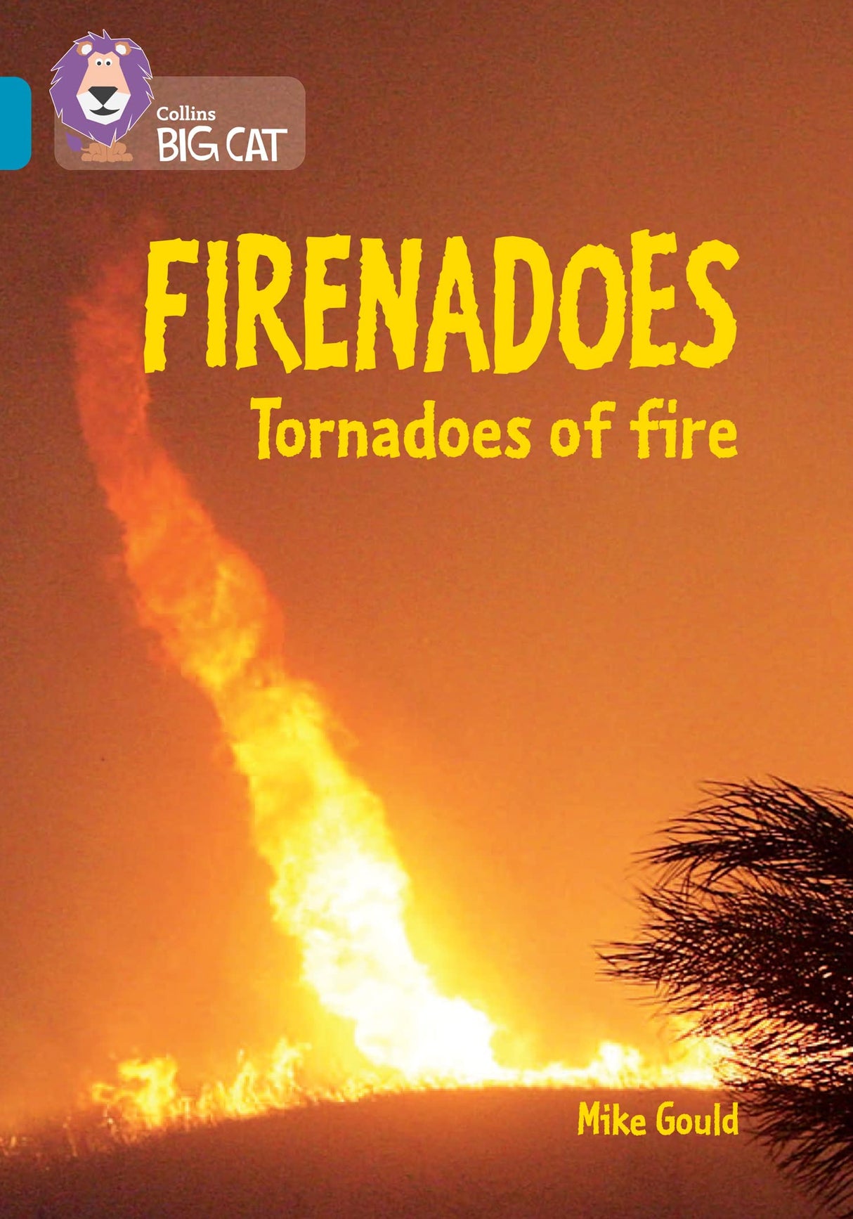 Firenadoes: Tornadoes of fire: Band 13/Topaz (Collins Big Cat) - Retail Maharaj