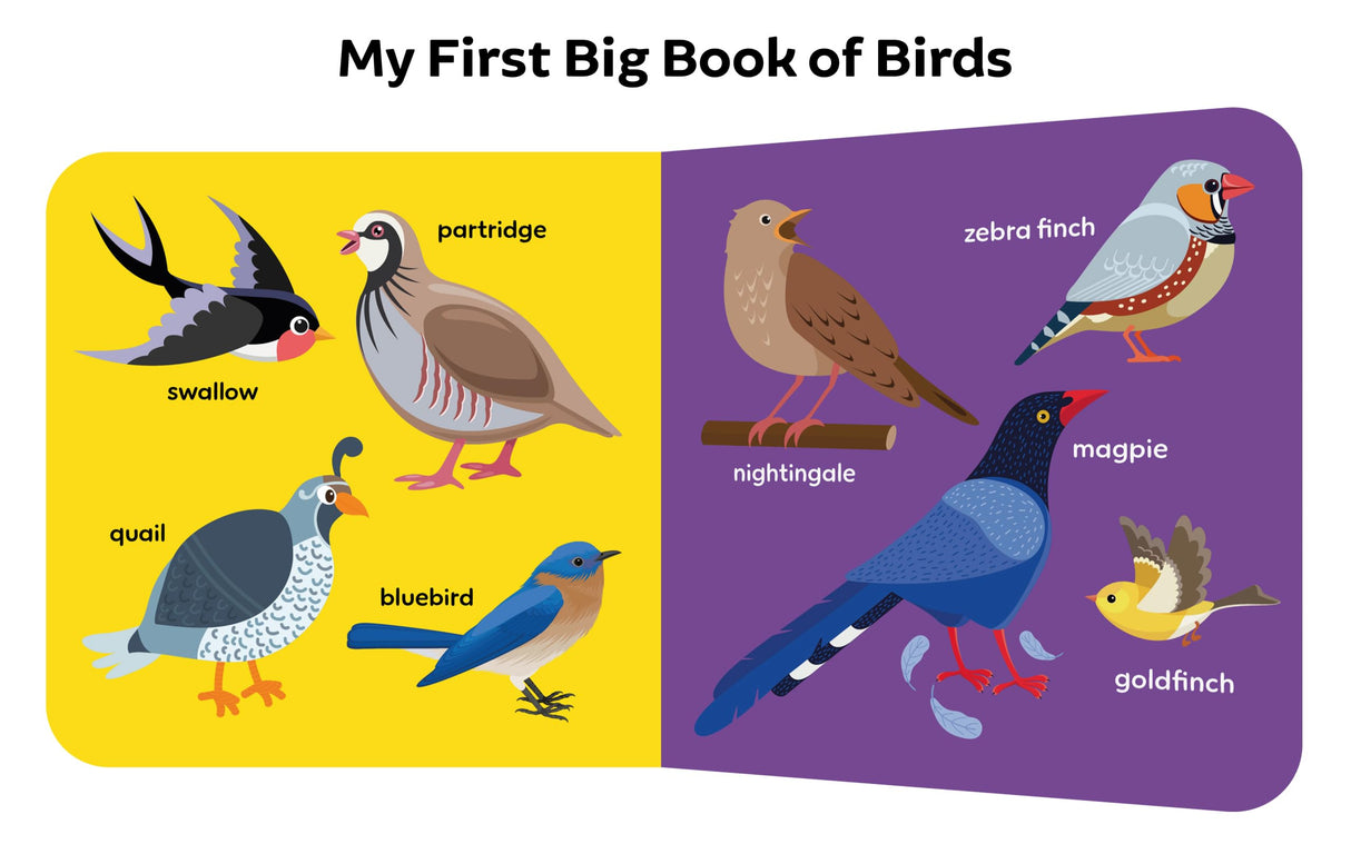 My First Big Book Boxset-Volume 2 (5 Books): A Pizza Box of 5 Large Font Illustrated Board Books on Animals, Birds, Fruits and Vegetables, Seasons, Opposites and Things at Home | Vocabulary Builder for Preschool Kids, Toddlers I Perfect Gift Set I Ages 1+ - Retail Maharaj
