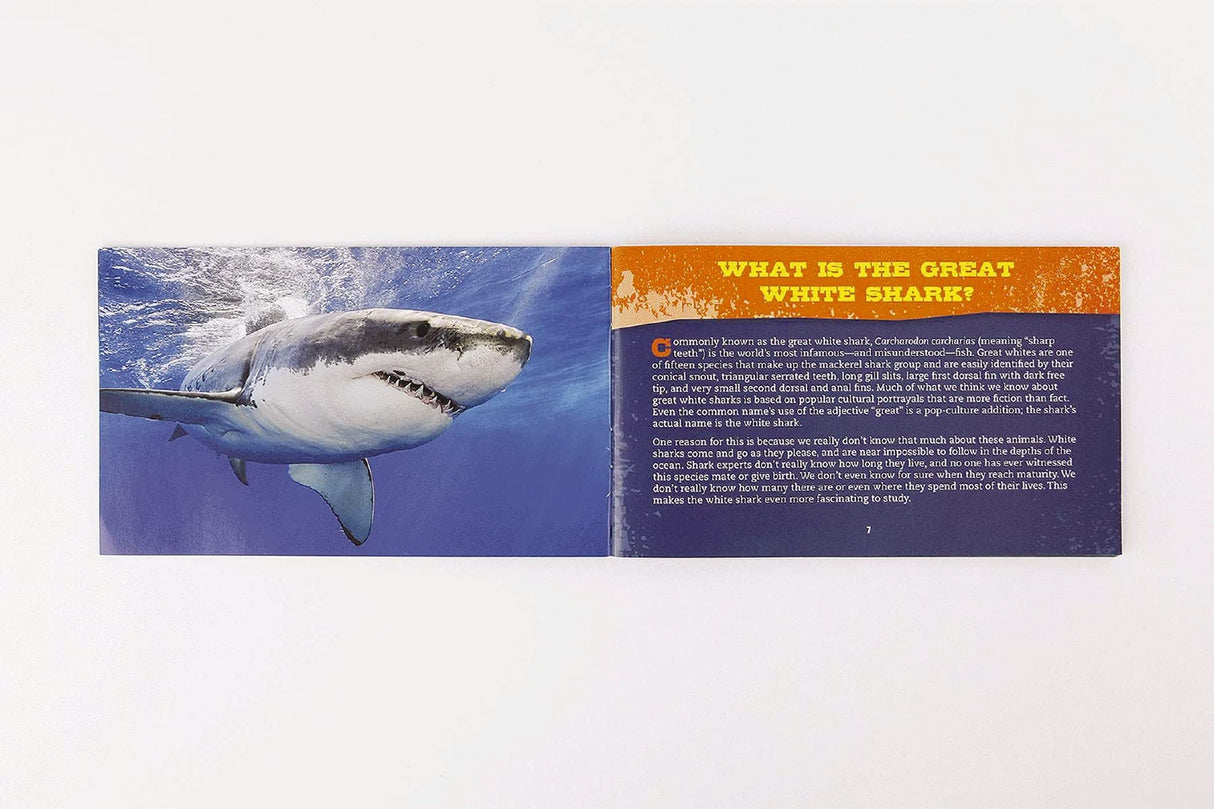 The Great White Shark 500-Piece Jigsaw Puzzle & Book - Retail Maharaj