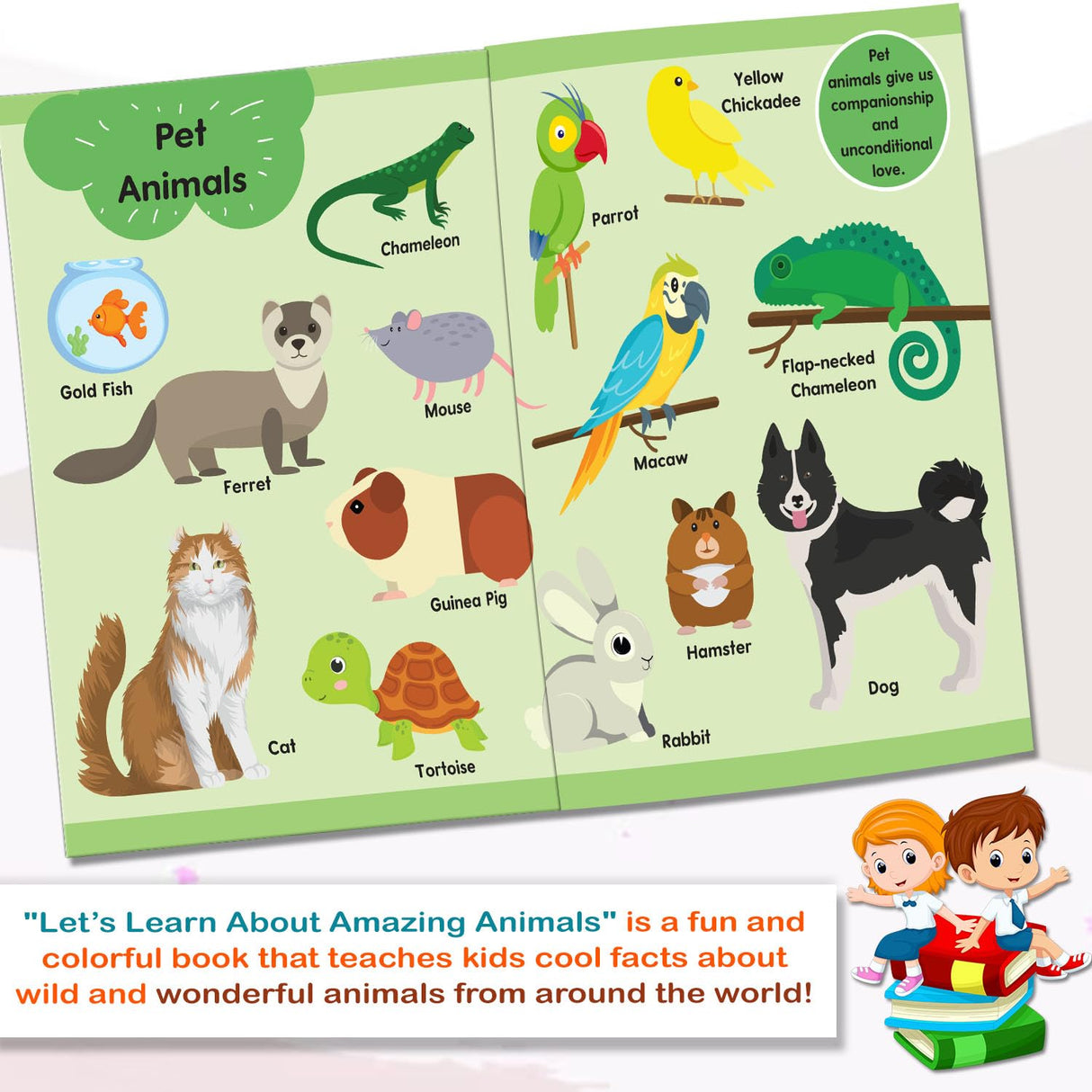 Hello Friend Books Let's Learn Giant Board Book: Animals - Large Board Book with Beautifully Illustrated Images for Children to Learn - Retail Maharaj