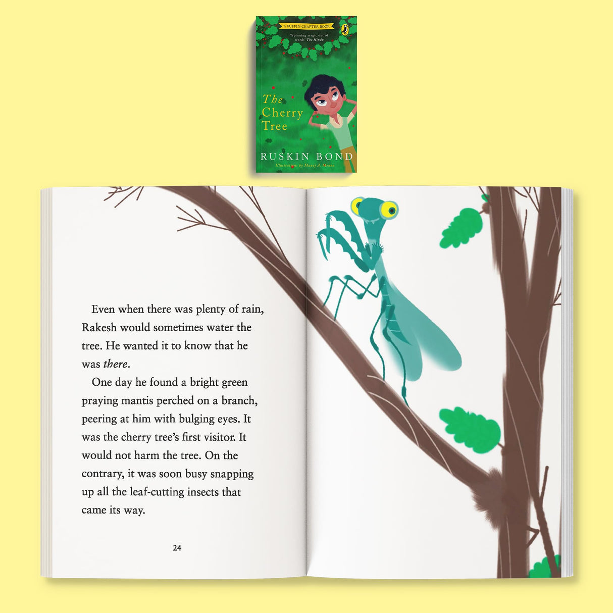 My First Family Stories: Ruskin Bond Boxset (Set of 4) | Illustrated Family Stories with Nature, Relationships, and Life Lessons | Perfect for Bedtime Reading and Gifting - Retail Maharaj