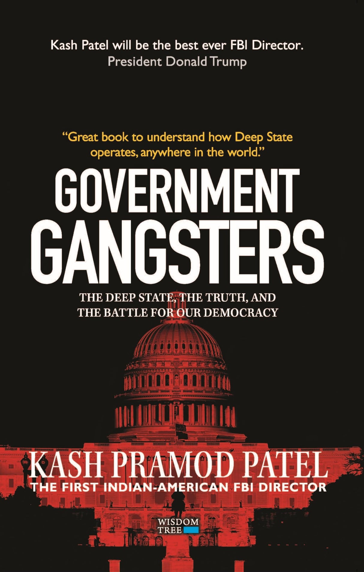 Government Gangsters: The Deep State, the Truth, and the Battle for Our Democracy - Retail Maharaj