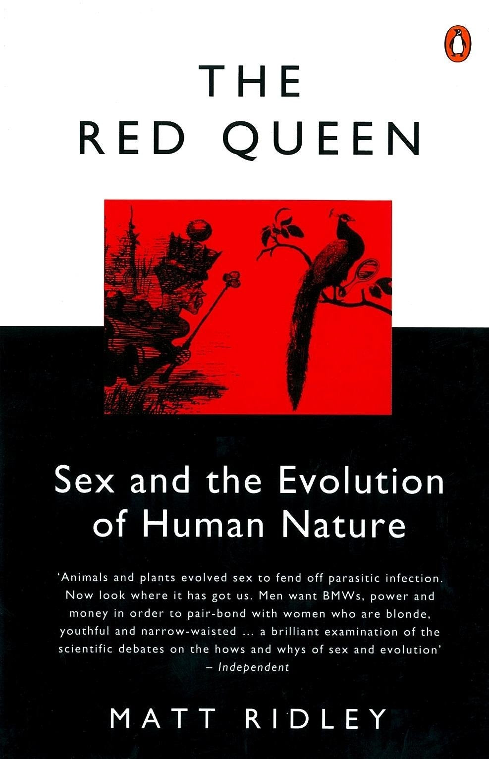 The Red Queen - Retail Maharaj