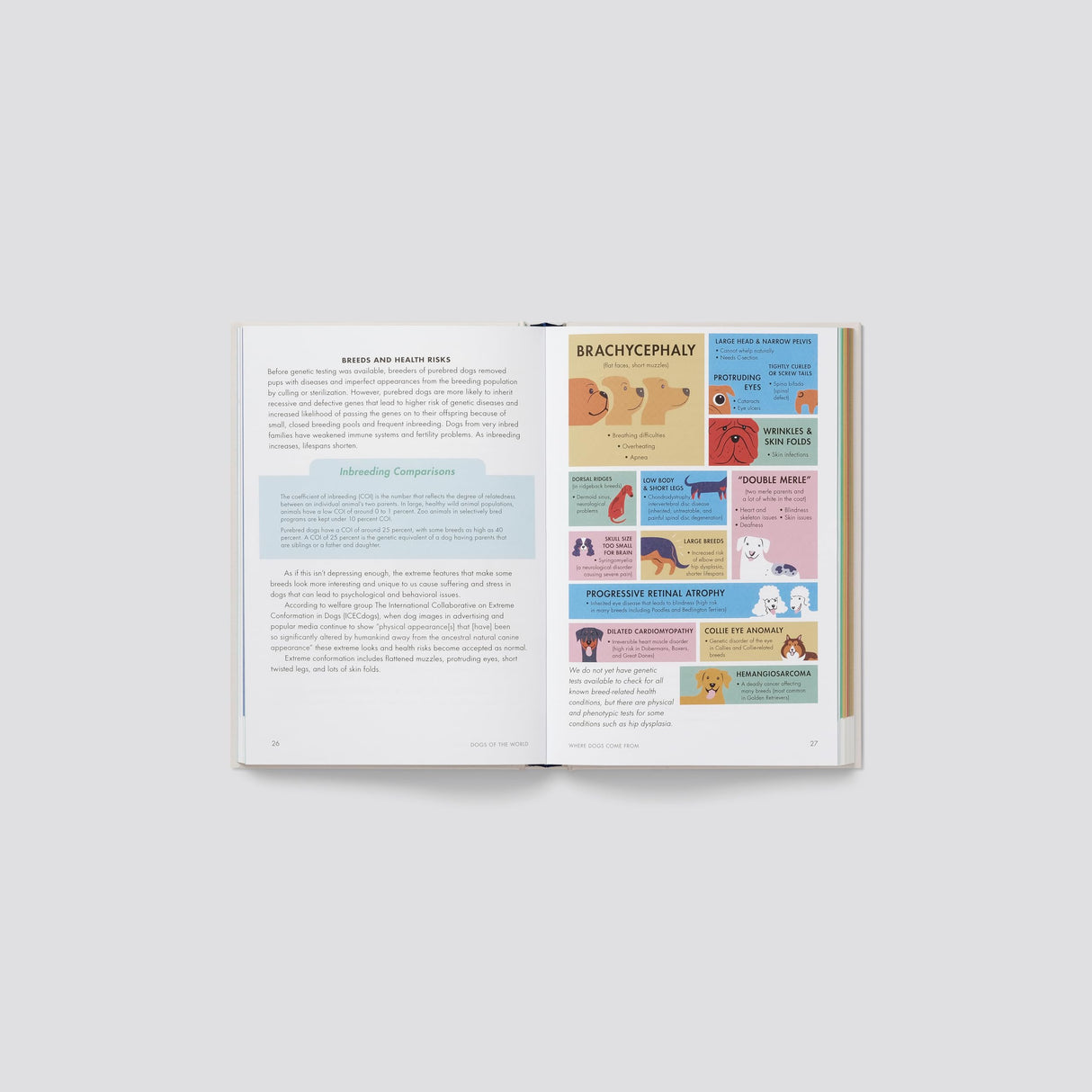 Dogs of the World: An Illustrated Compendium - Retail Maharaj