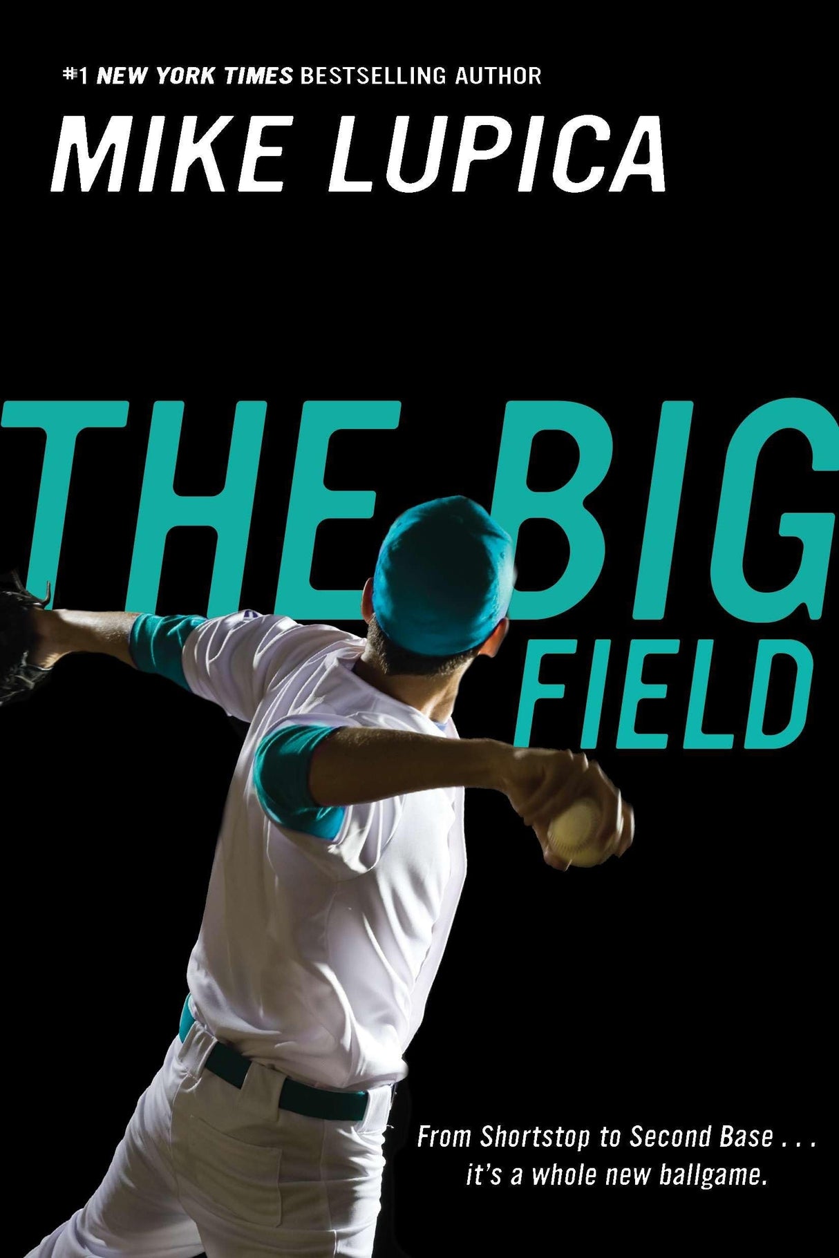 The Big Field - Retail Maharaj