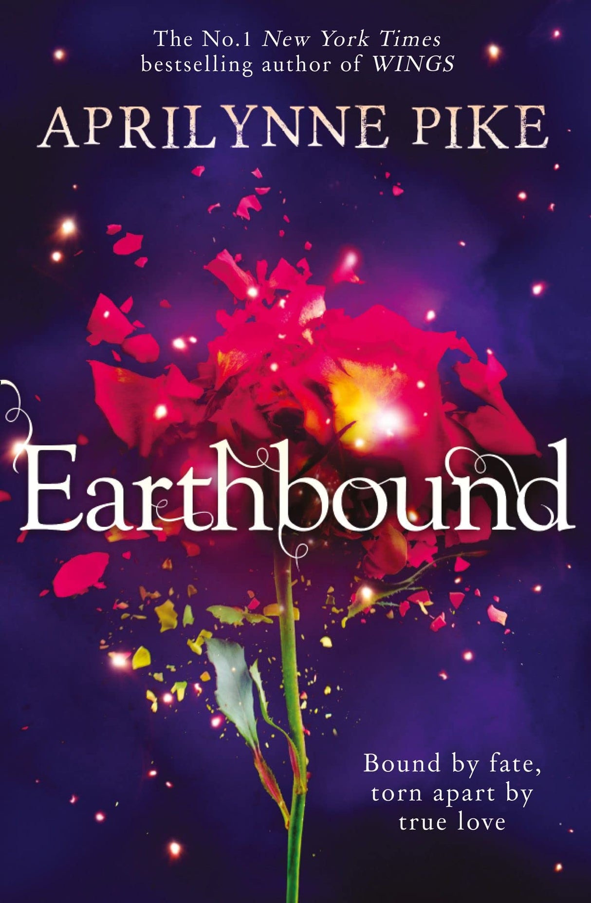 Earthbound - Retail Maharaj