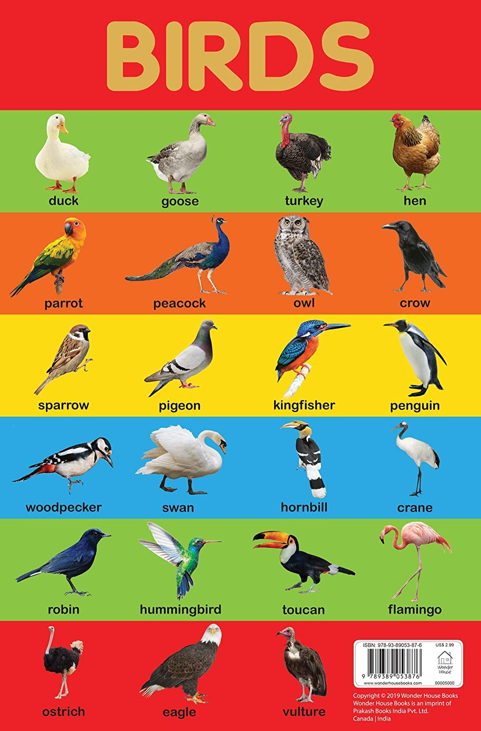 Birds Chart - Early Learning Educational Chart For Kids: Perfect For Homeschooling, Kindergarten and Nursery Students (11.5 Inches X 17.5 Inches) - Retail Maharaj