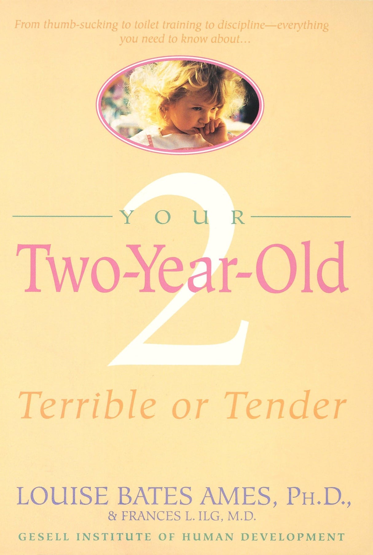 Your Two-Year-Old: Terrible or Tender - Retail Maharaj