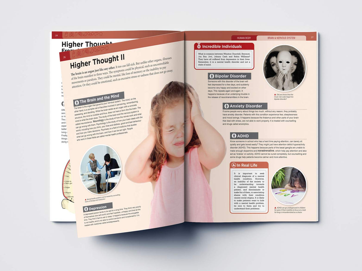 Human Body - Brain And Nervous System: Knowledge Encyclopedia For Children - Retail Maharaj