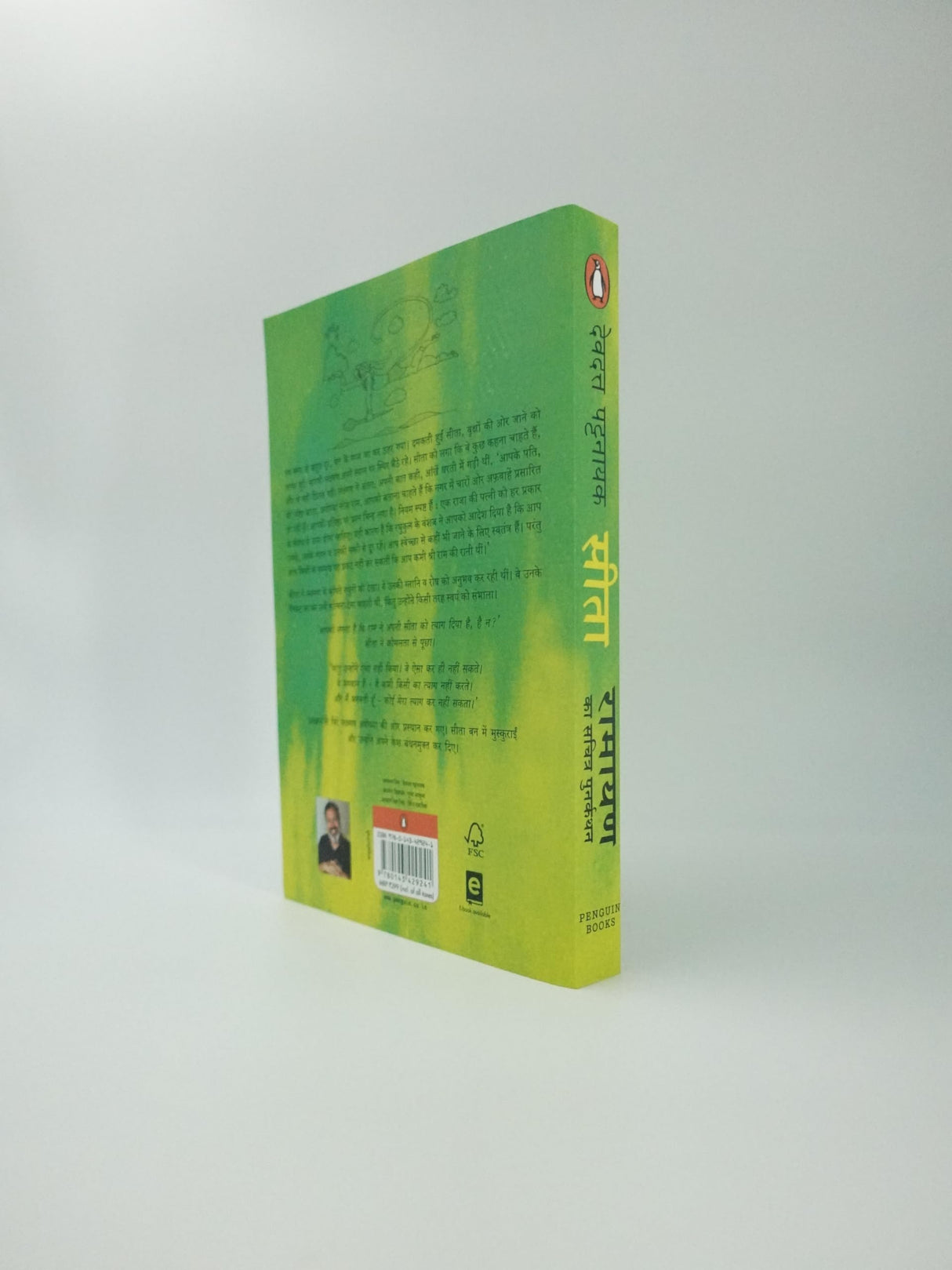 Sita: Illustrated Ramayana-Hin - Retail Maharaj