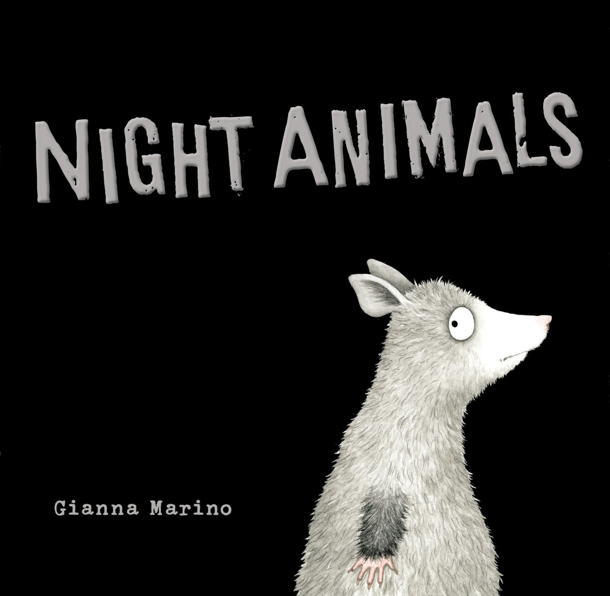 Night Animals - Retail Maharaj
