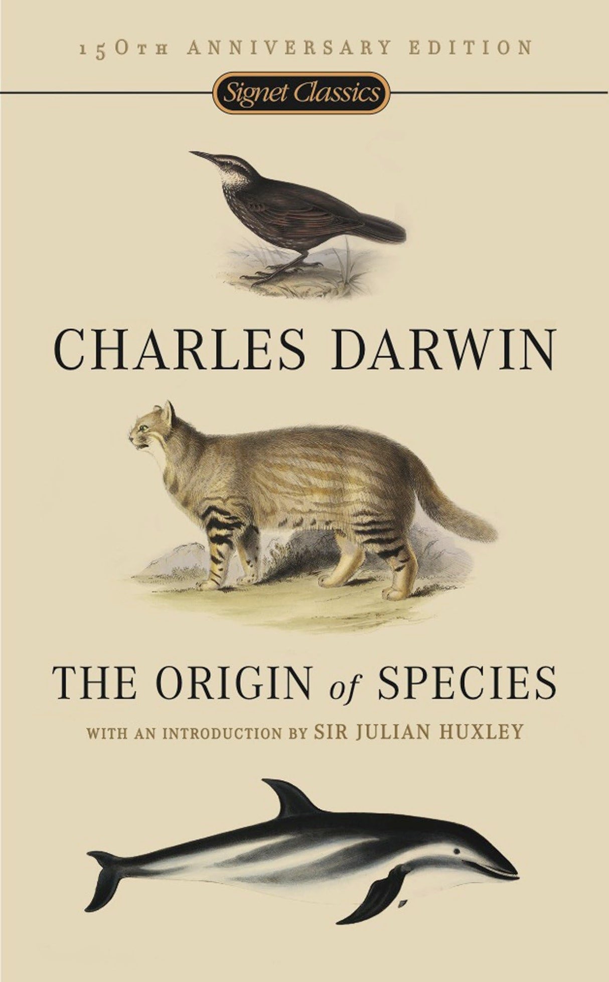 Origin Of Species, The - Retail Maharaj