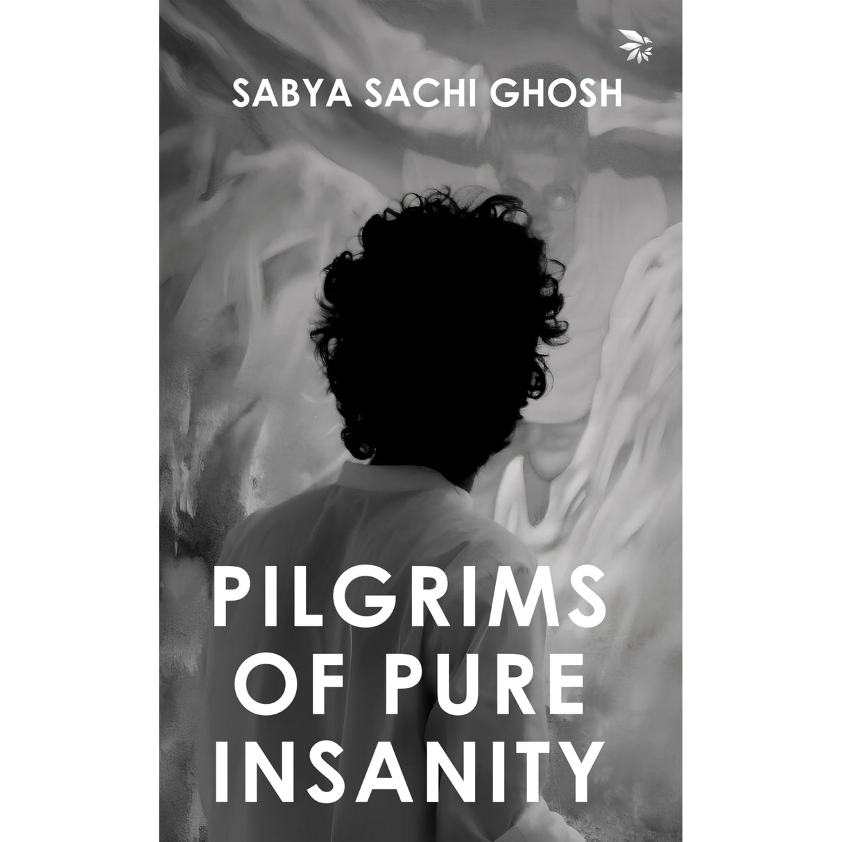 Pilgrims of Pure Insanity - Retail Maharaj